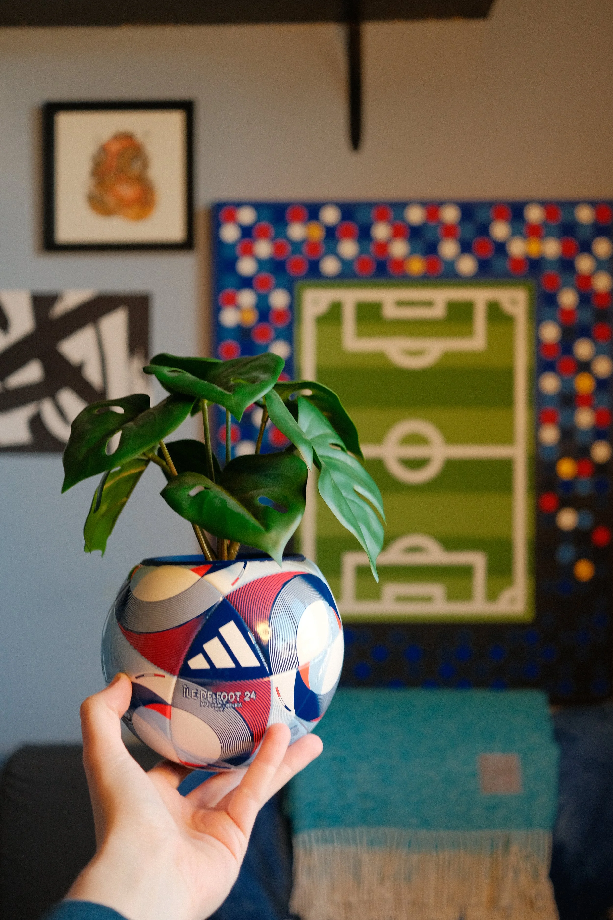 Mini soccer ball plant in front of texture soccer field art