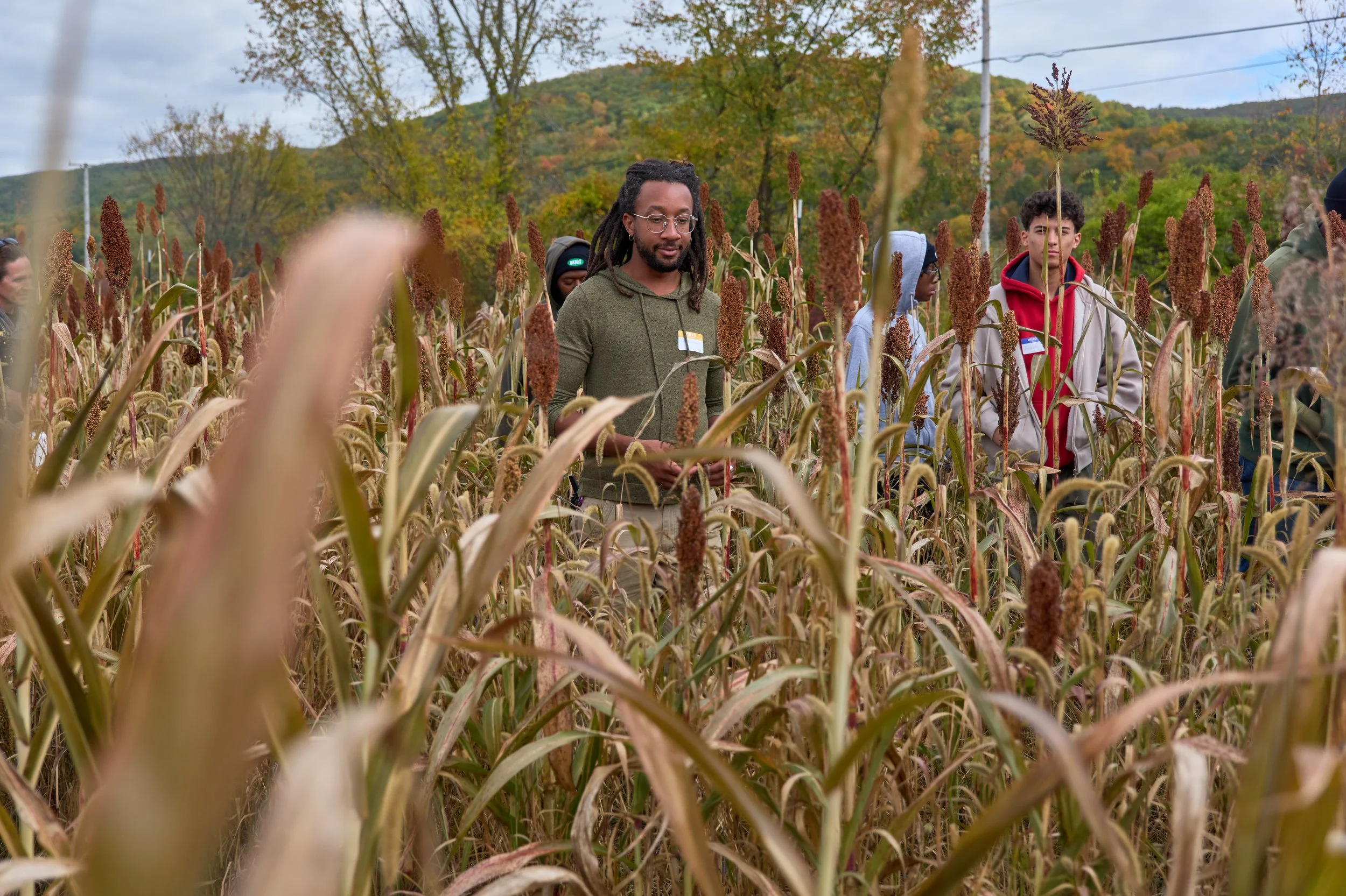 251011_Sweet Freedom Sorghum_Walter Hergt_P1059962.jpg
