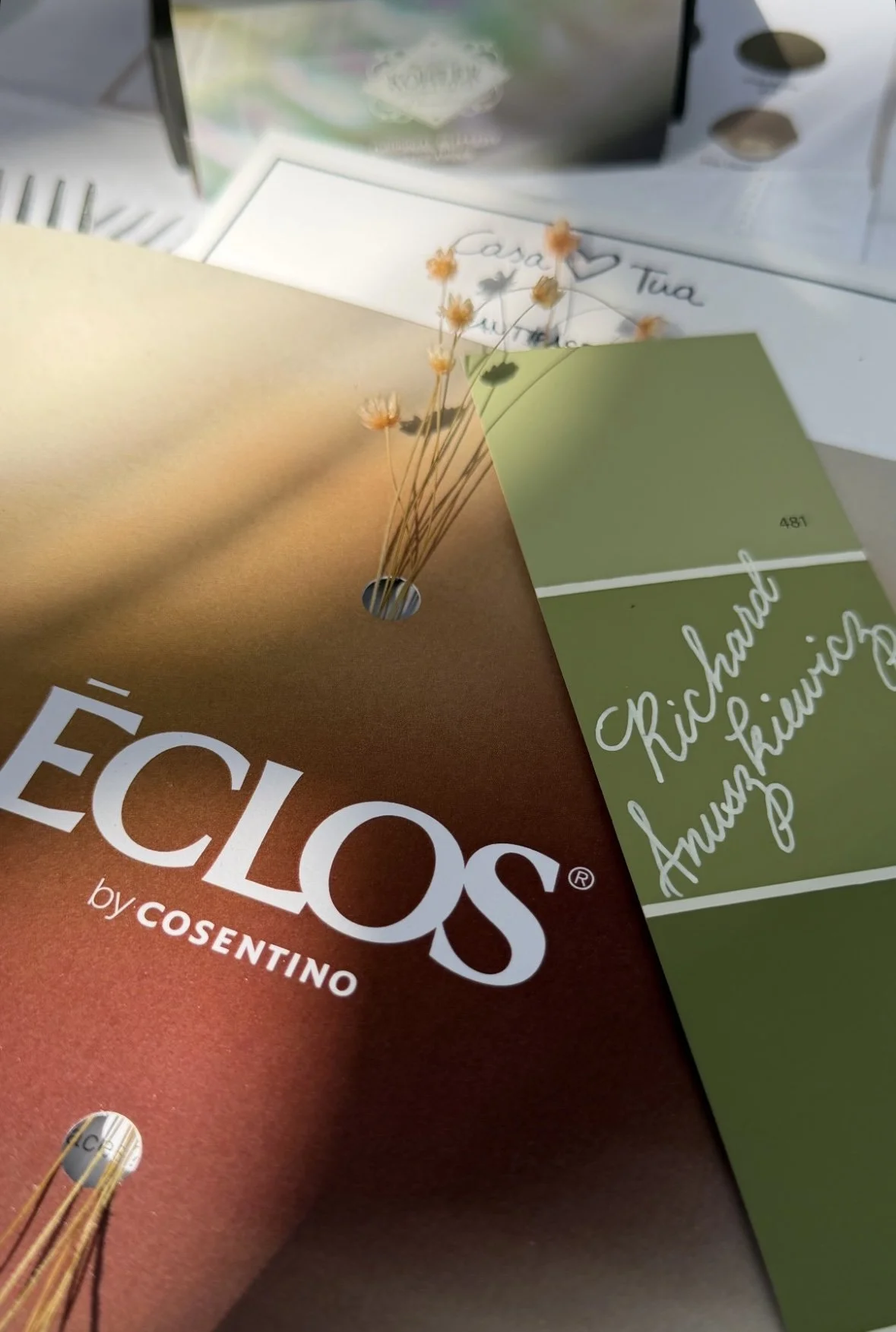 Calligraphy Miami Paint Swatch.jpg