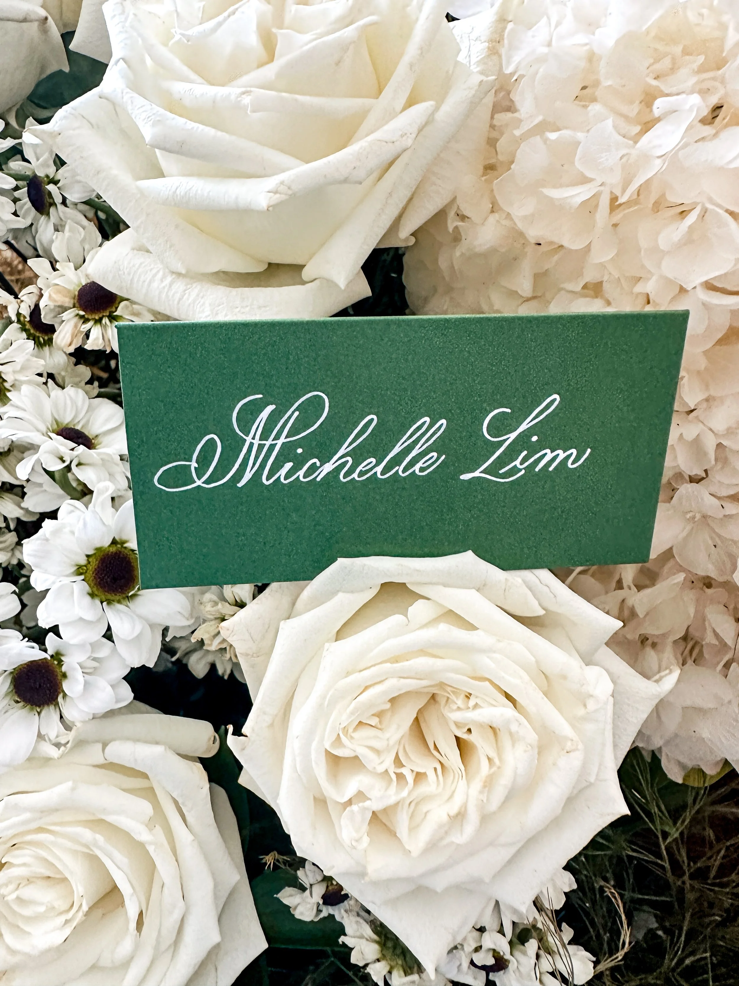 Miami Caligraphy Penelope Lite Style.JPG