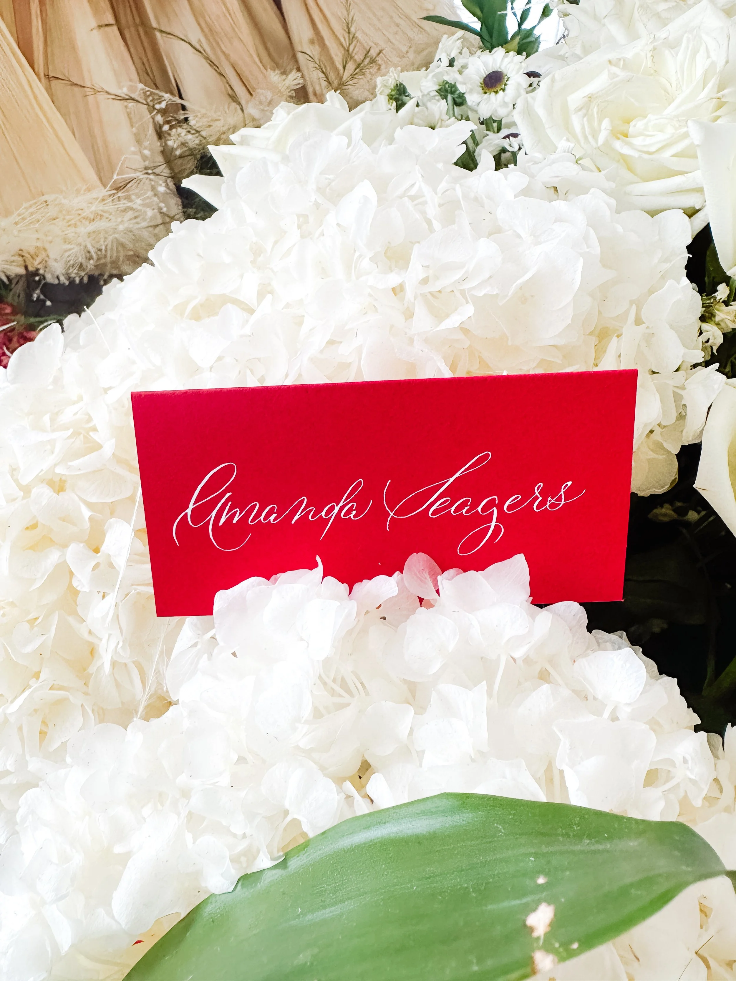 Miami Caligraphy Reagan Style.JPG