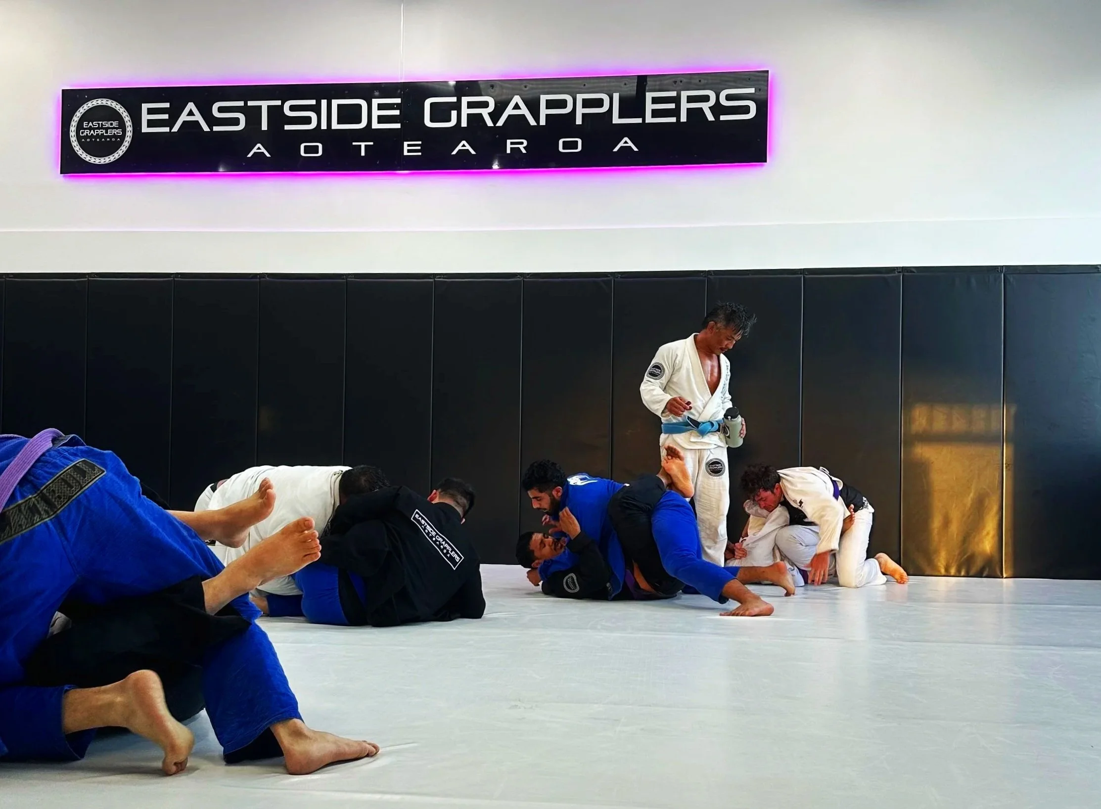 Brazilian Jiu Jitsu in East Auckland