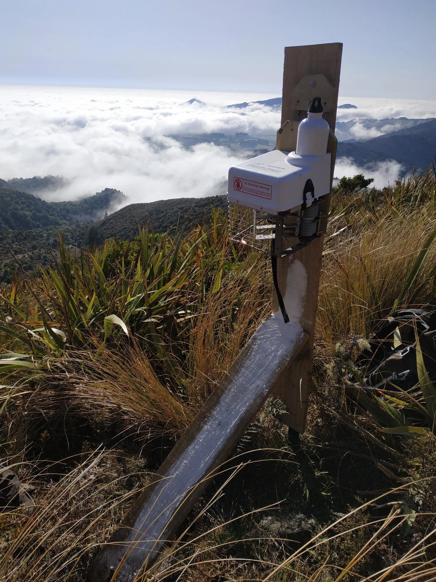 Hard work from the Halo Project pays off