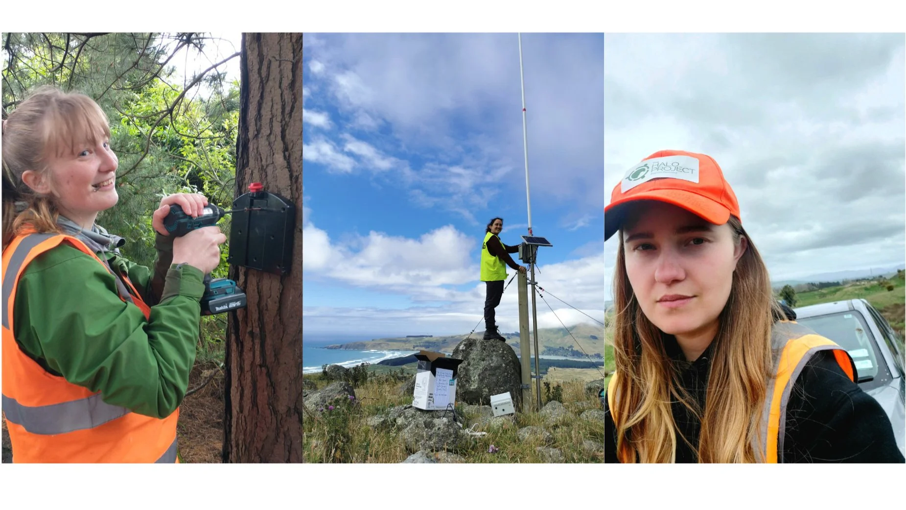 Meet three of our star conservationists 