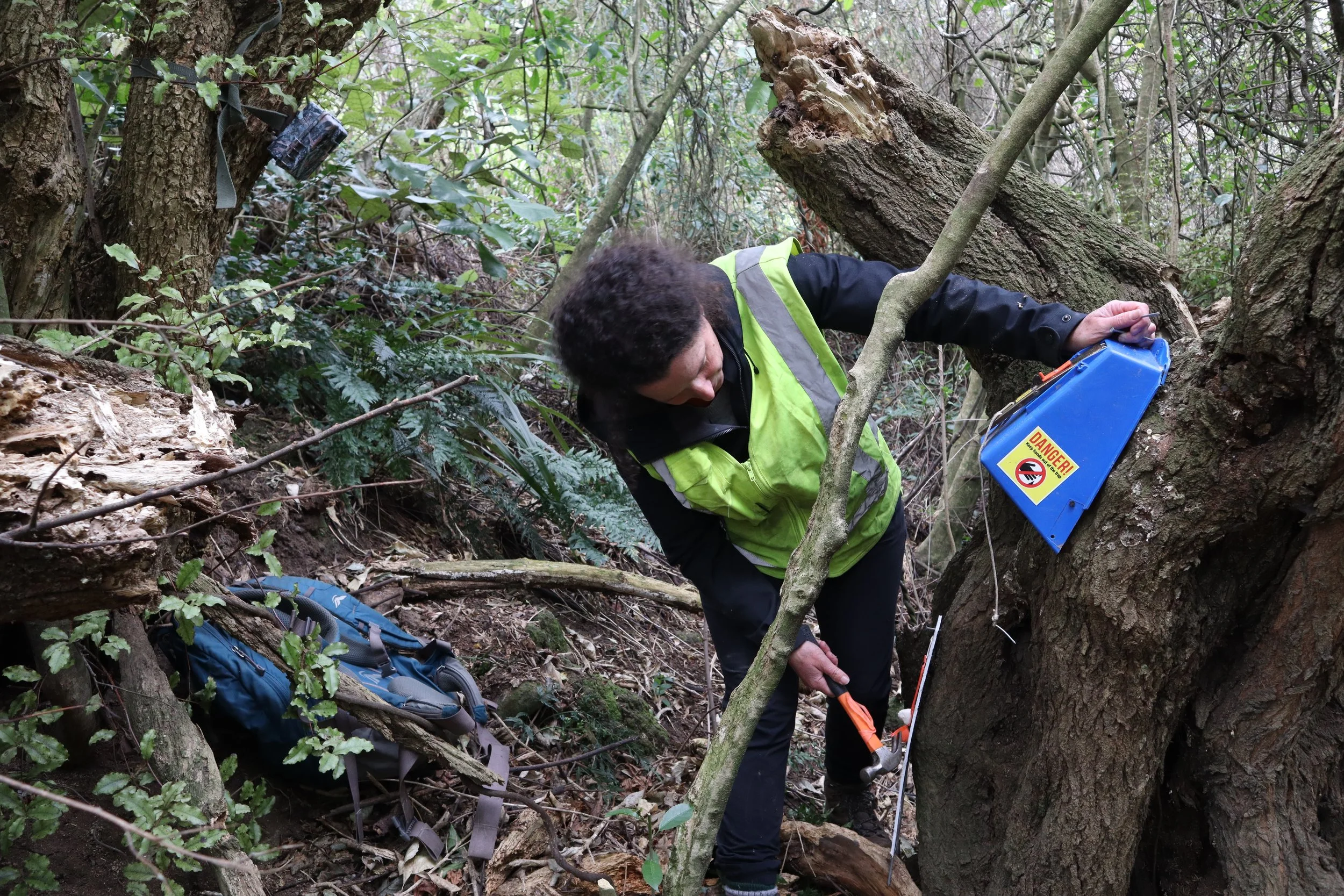  Traps are monitored closely and repositioned if needed. 