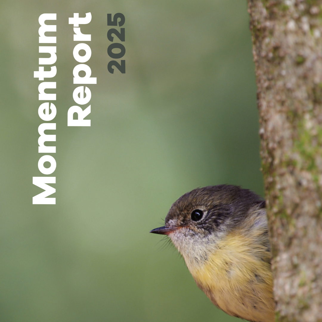 Momentum Report 2025