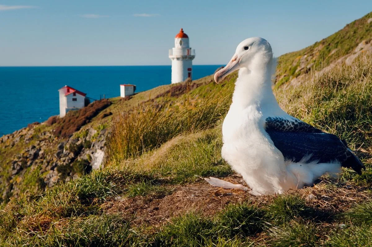 5 Ways to Always Be Naturing in the Wildlife Capital