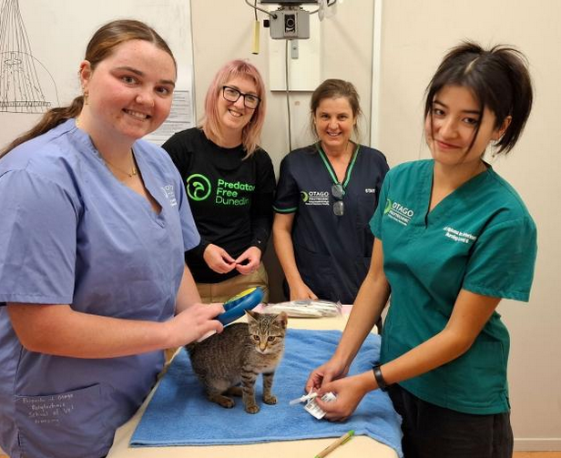 Microchipping clinics prove popular with cat owners