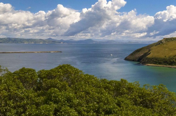 Possums? We Don’t Know Her