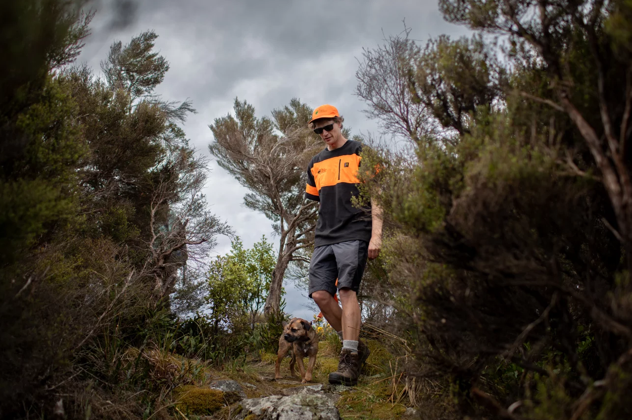 To save its unique and rare birds, New Zealand is turning to AI and genetic research