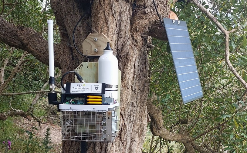 AI cameras in pest traps recognise predators and birds