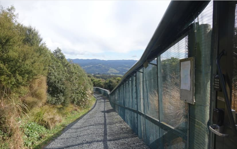 'New frontier' as Predator Free Dunedin sets sights on more pests