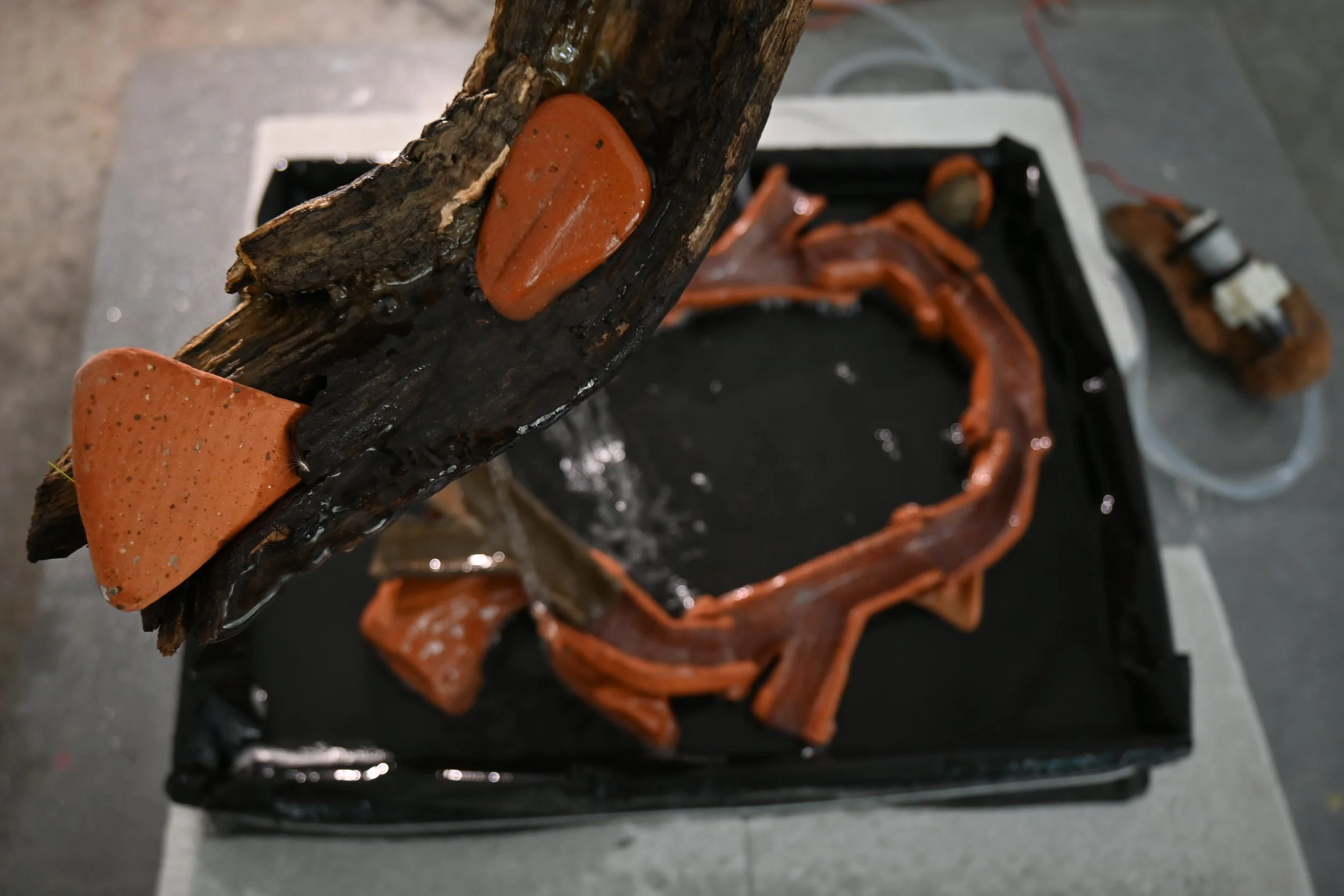 DSC_0127.JPG