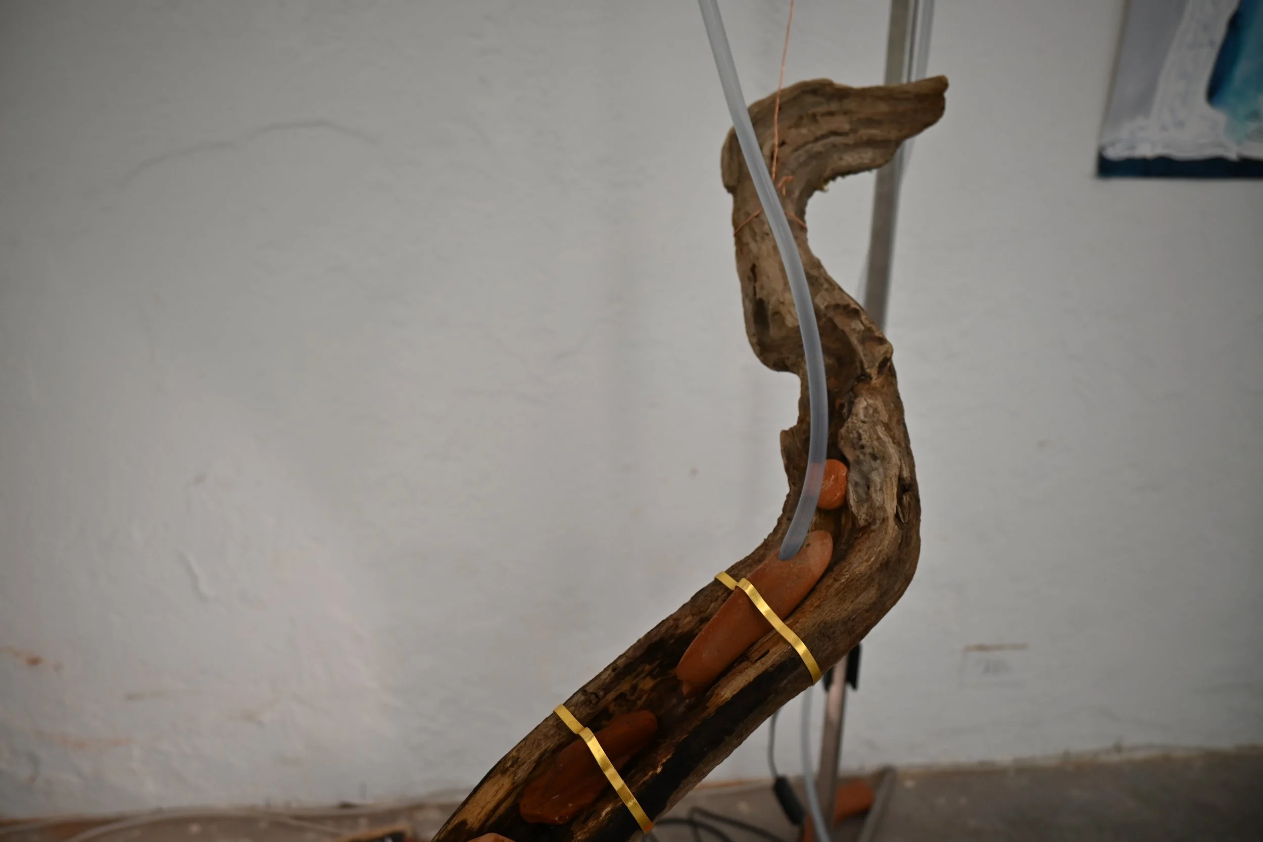 DSC_0119.JPG