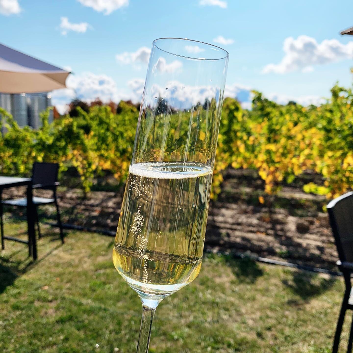 T-minus 1 week until I&rsquo;m back in the Finger Lakes!! Did you think I&rsquo;d miss @flxcursion ?! Please! 🥂😉
&hellip;
&hellip;
&hellip;
&hellip;
&hellip;
🏷 #fingerlakes #riesling #winegeek #flxwine #iloveny #newyorkwine #wineblog #vineyard #vi