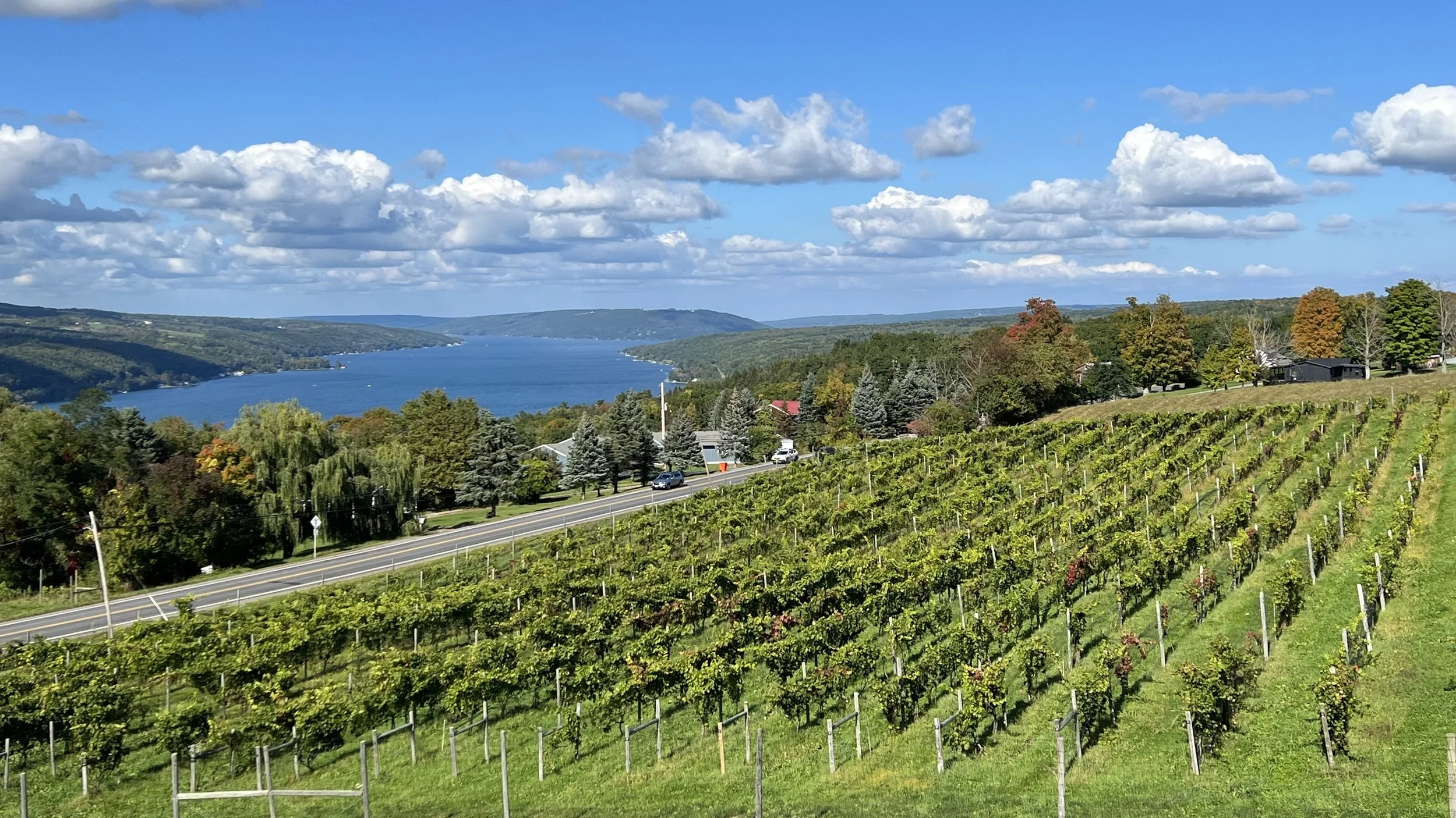 Best Wineries Once Winery Seneca Lake Best Wineries Seneca Lake - Main Image