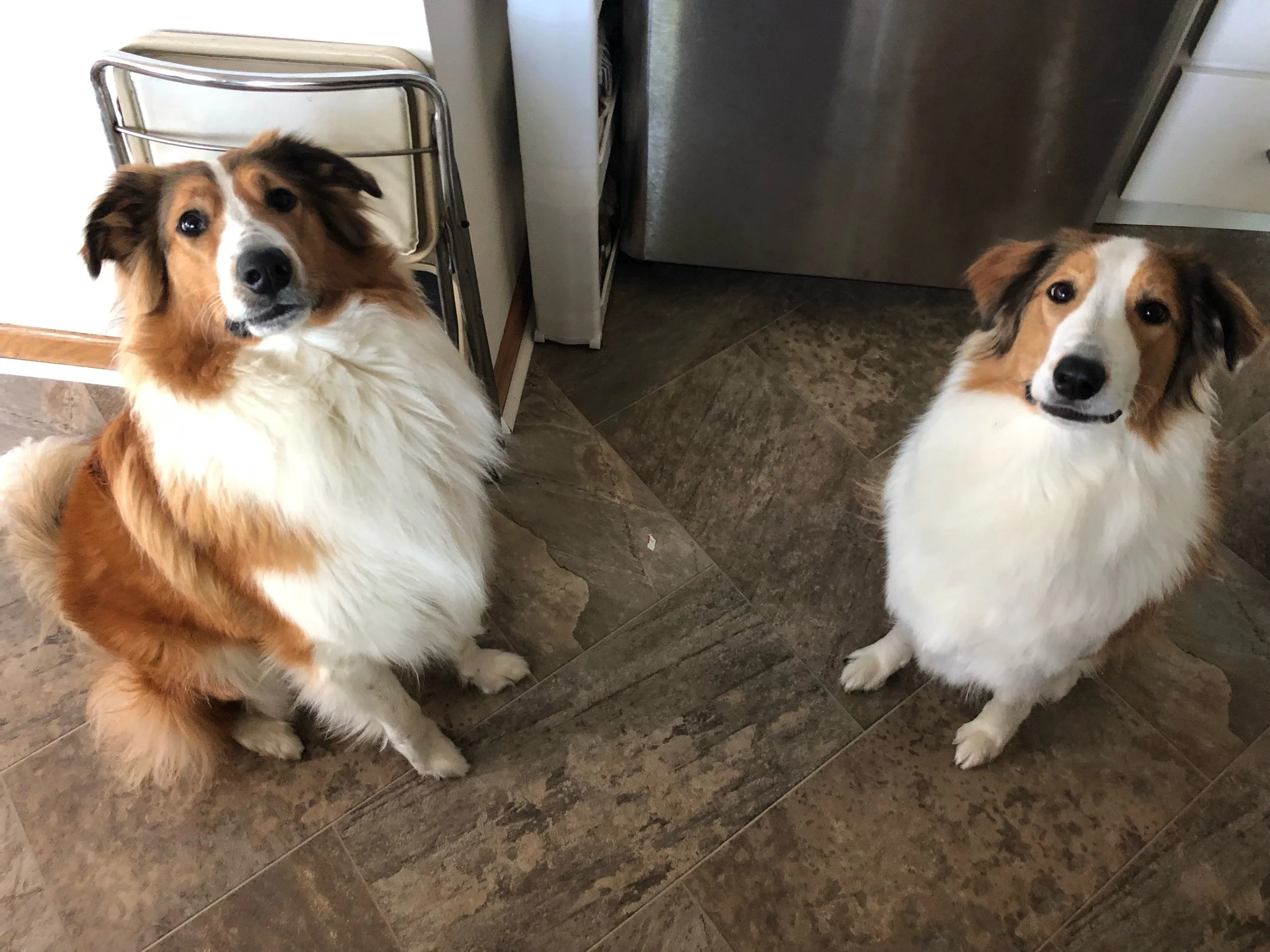 Junebug & Magnus (Mantis)