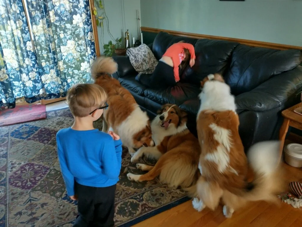 Lochey (Dragonfly), Magnus (Mantis) & Junebug