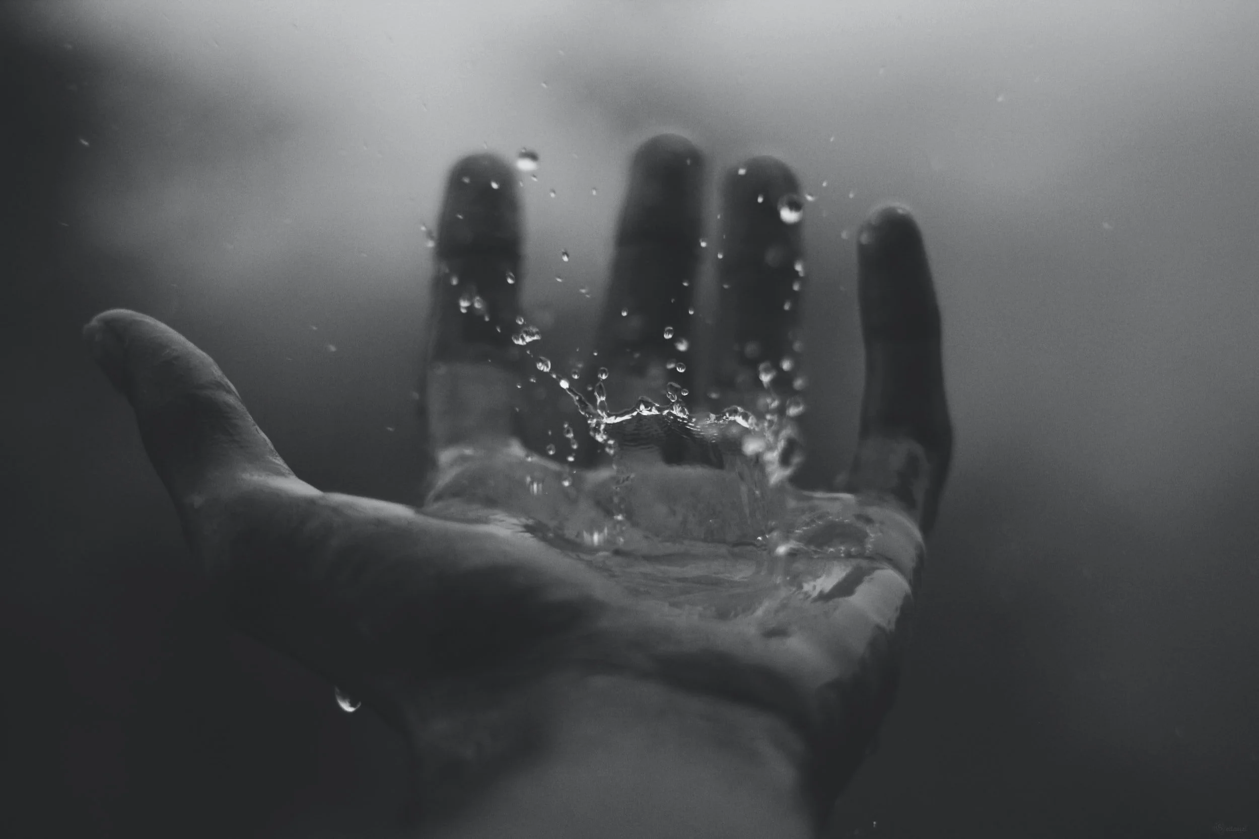 unsplash-image-8CwoHpZe3qE.jpg