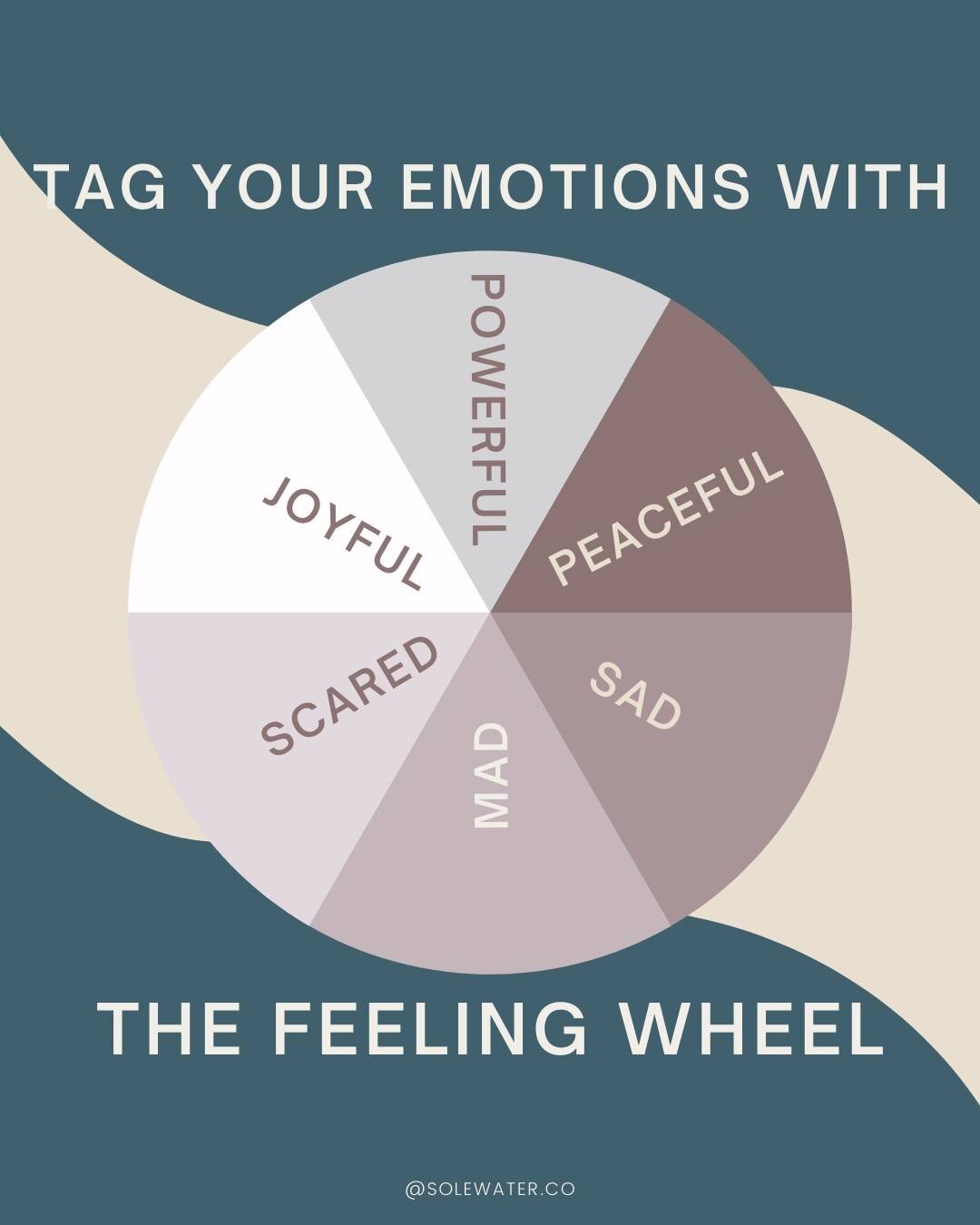 💥 Welcome to the feeling wheel. This is a game changer. This was one of the first things I was given as a tool to my own personal growth. 

Look at these words - these six words are your core emotions. Get to know them.

Are they comfortable for you