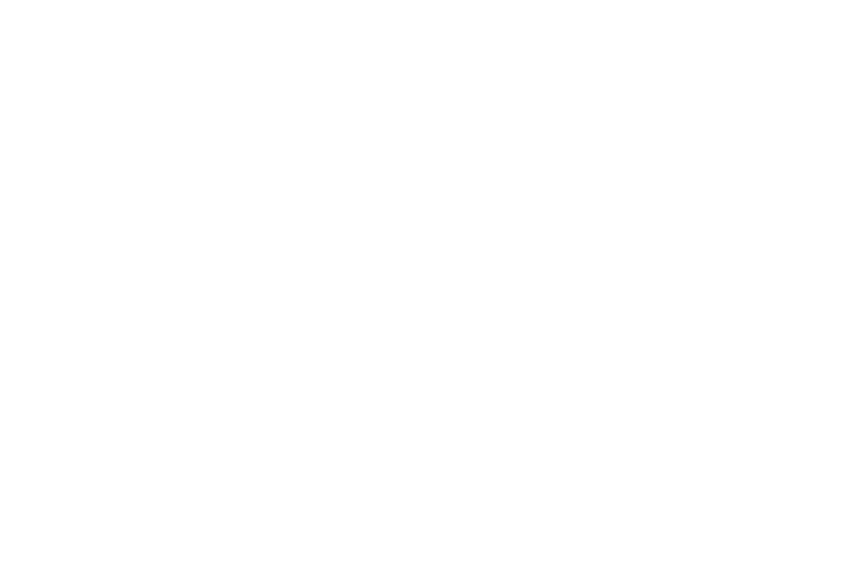OFFICIAL SELECTION - Fort Lauderdale International Film Festival - 2021.png