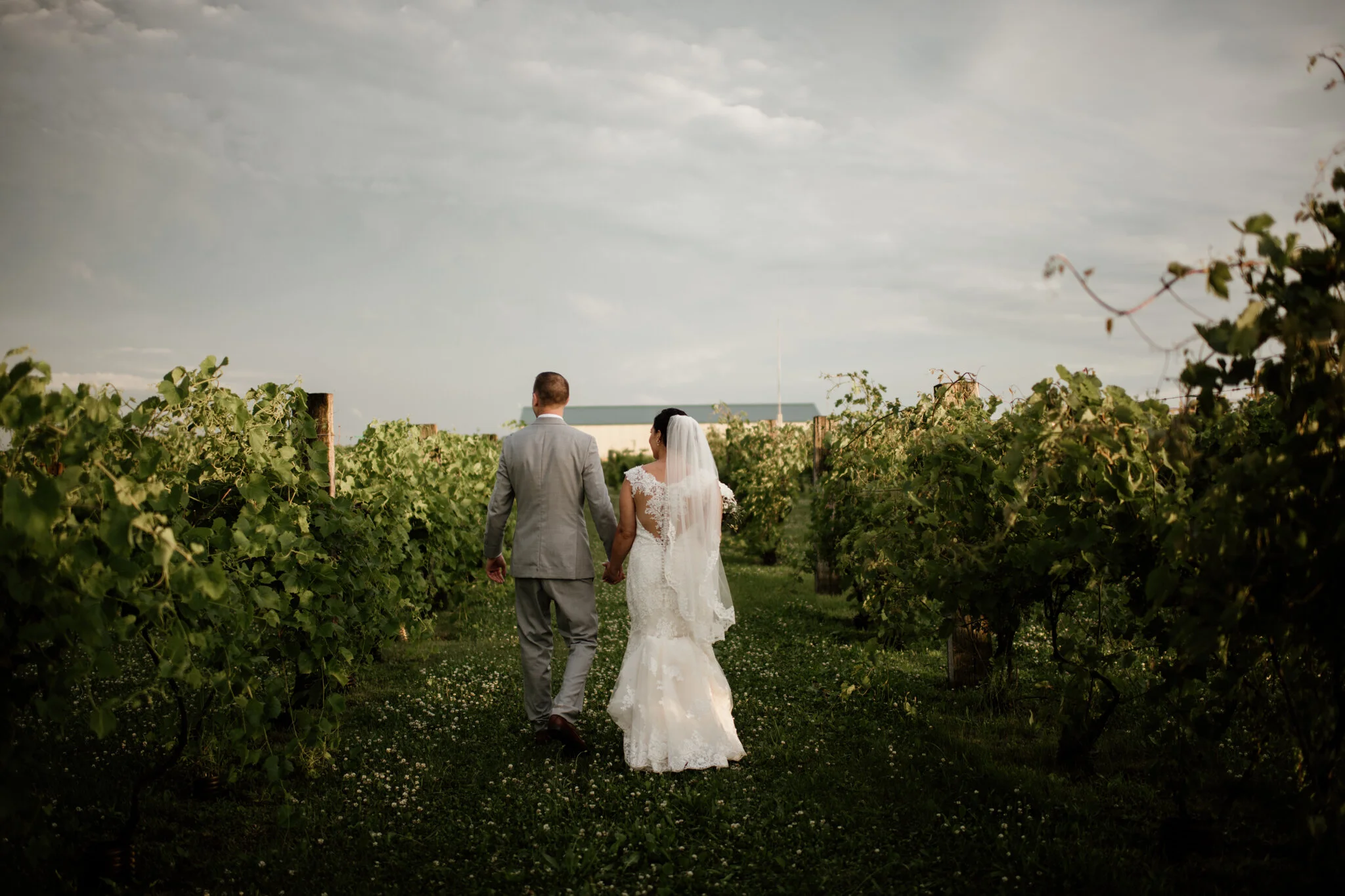 The Barn & Vineyard Beecher Rustic Barn Weddings