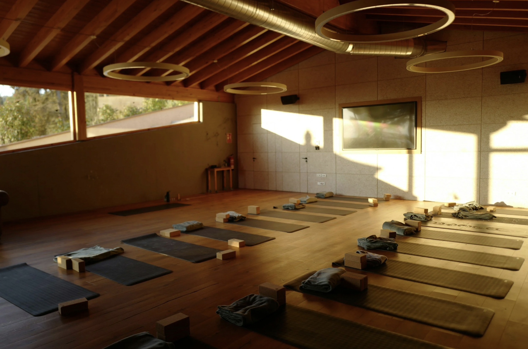 Fitness &amp; Movement in Houston