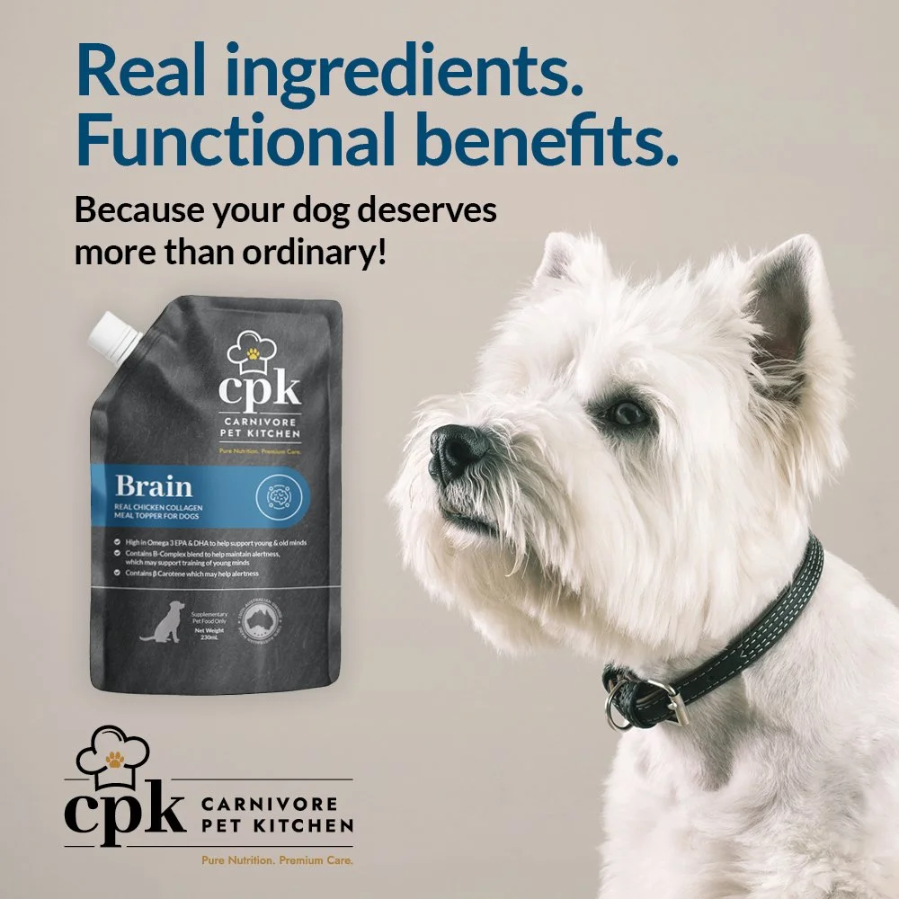 CPK_COLLAGENTOPPER_PETCIRCLE72DPI_BRAIN6.jpg