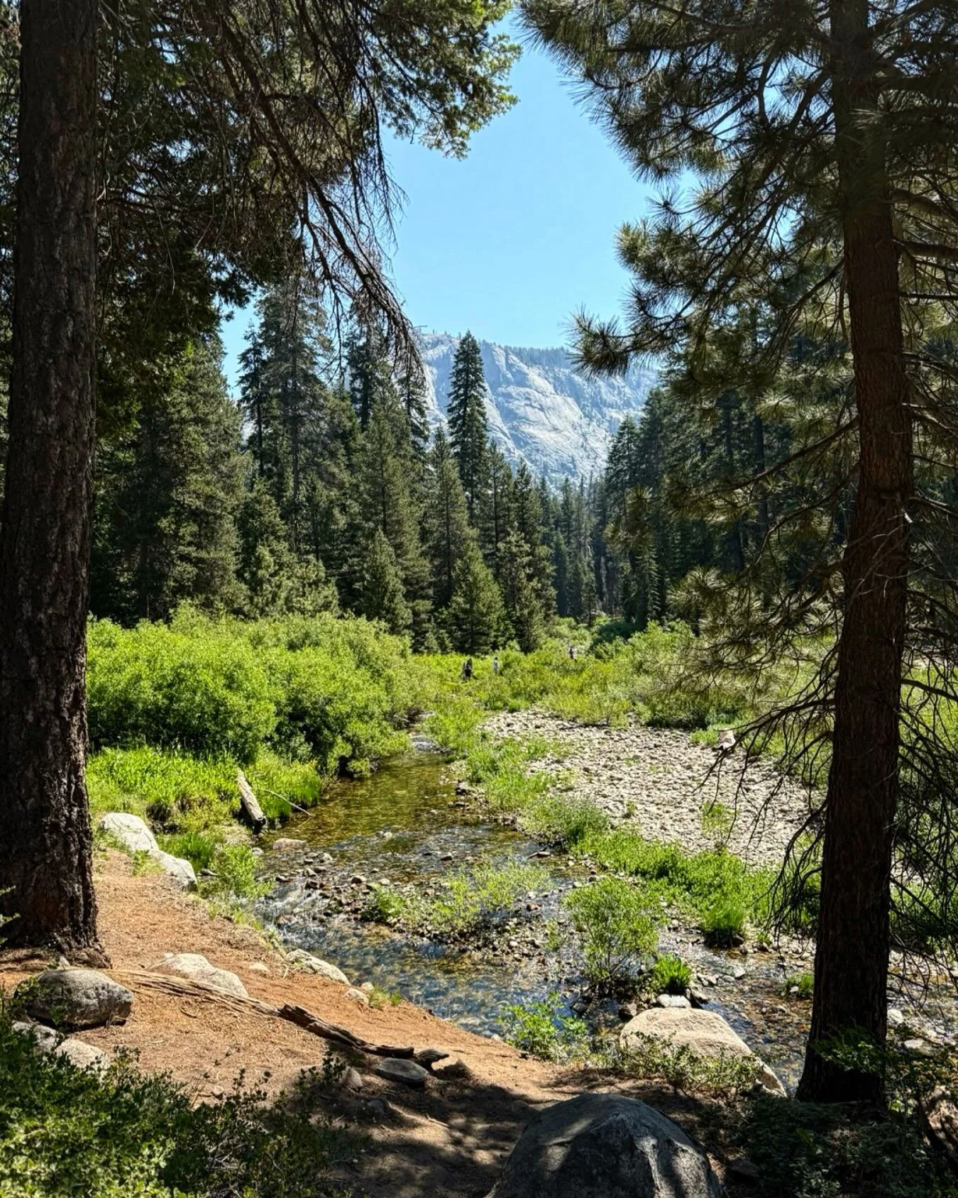Nature reminds us that we&rsquo;re right where we&rsquo;re meant to be. Seeds don&rsquo;t rush to grow roots, and rivers don&rsquo;t hurry to join oceans. 

How can we soak in the lessons and the beauty of the current season?

#ecocycle #seasonsofgro