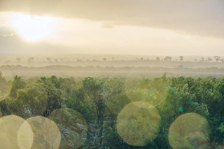 Picture1 (1)_751x500.jpeg