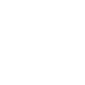 Brand-New-trans.png