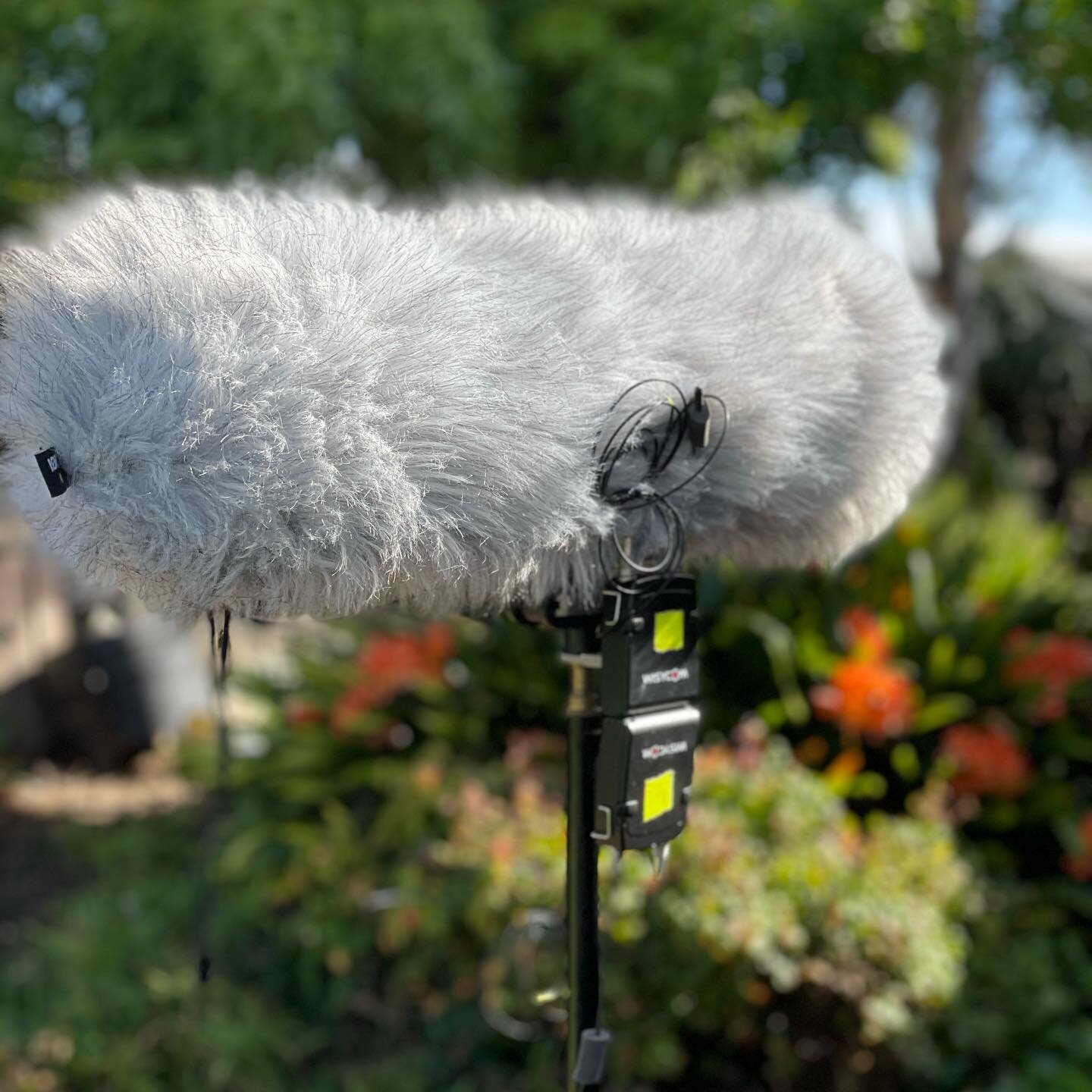 Finally a proper wind rig for the atomos #dpa mic. Sweet bird songs coming soon. Machine work by @alan_satalich