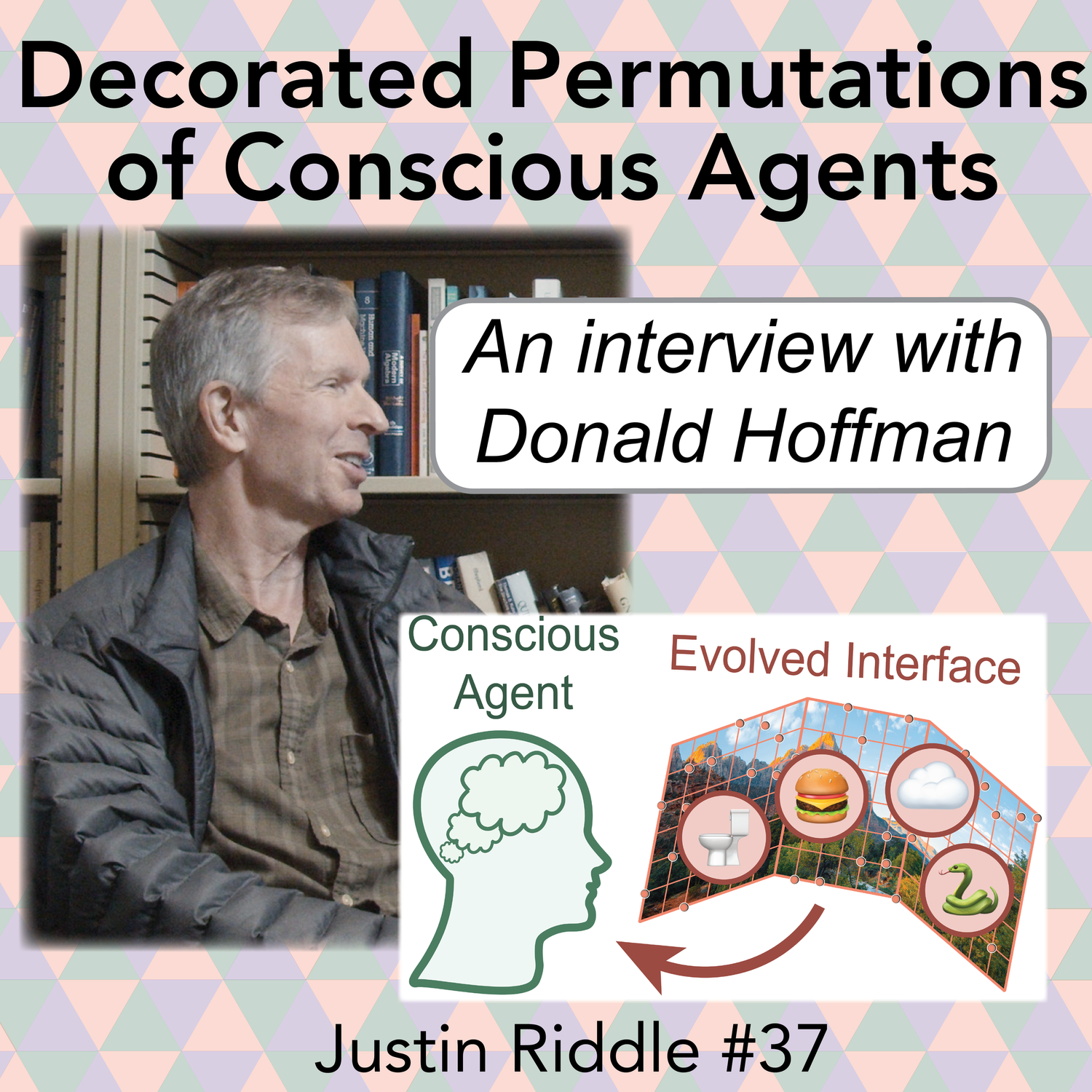 #37 – Decorated permutation in conscious agents: an interview with Donald Hoffman