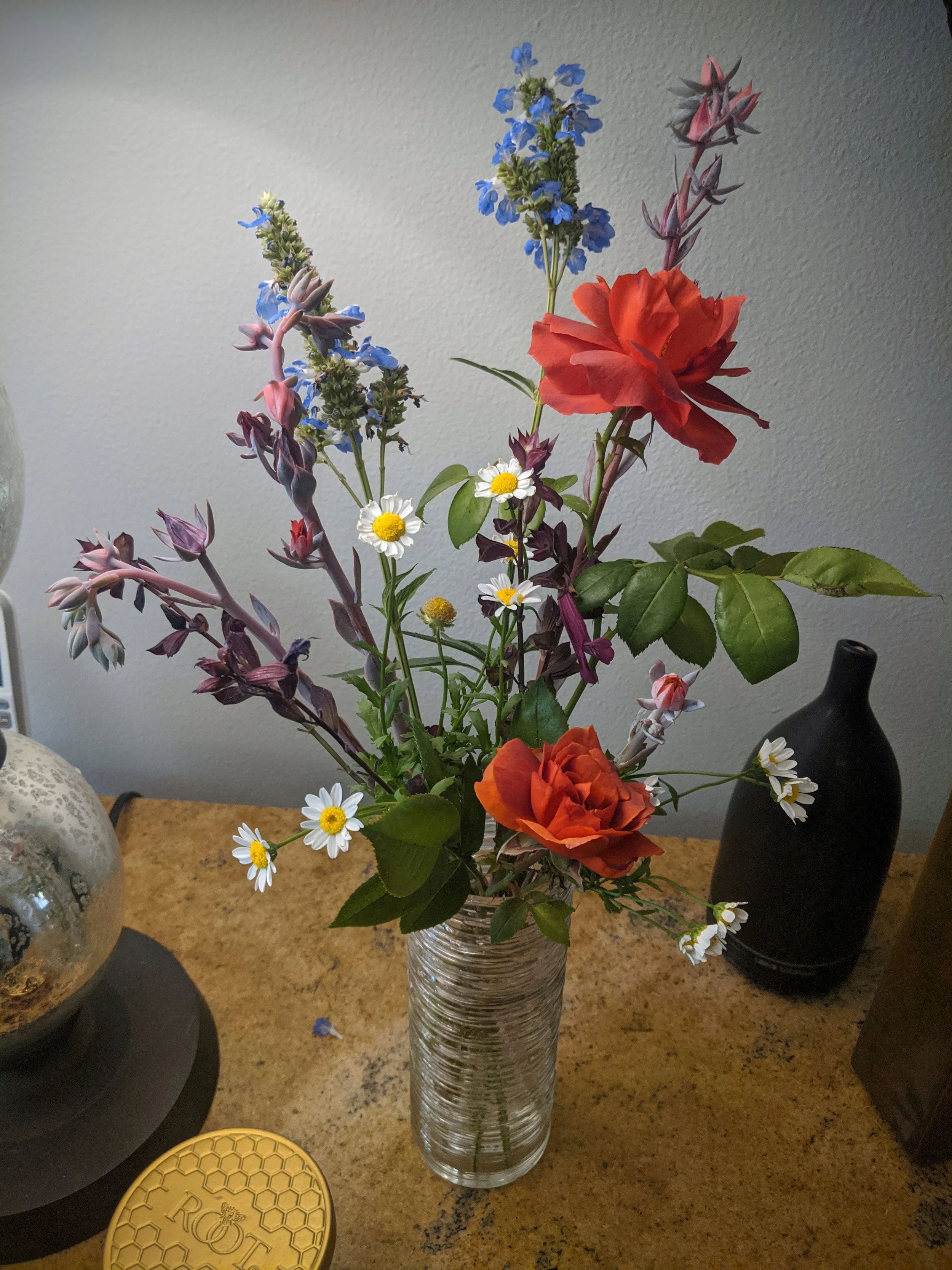 IMG_20200913_151901.jpg