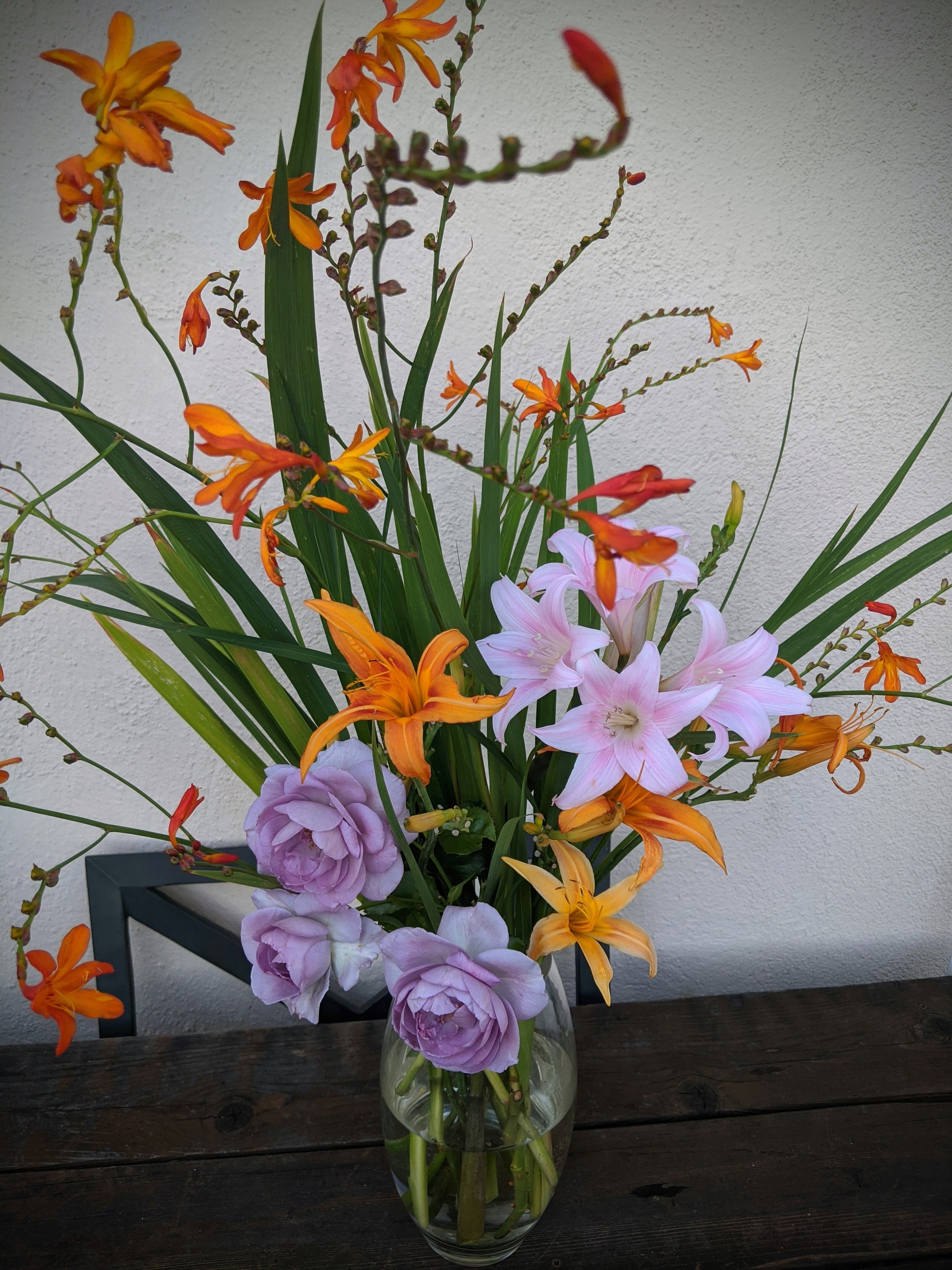 IMG_20200729_190658.jpg