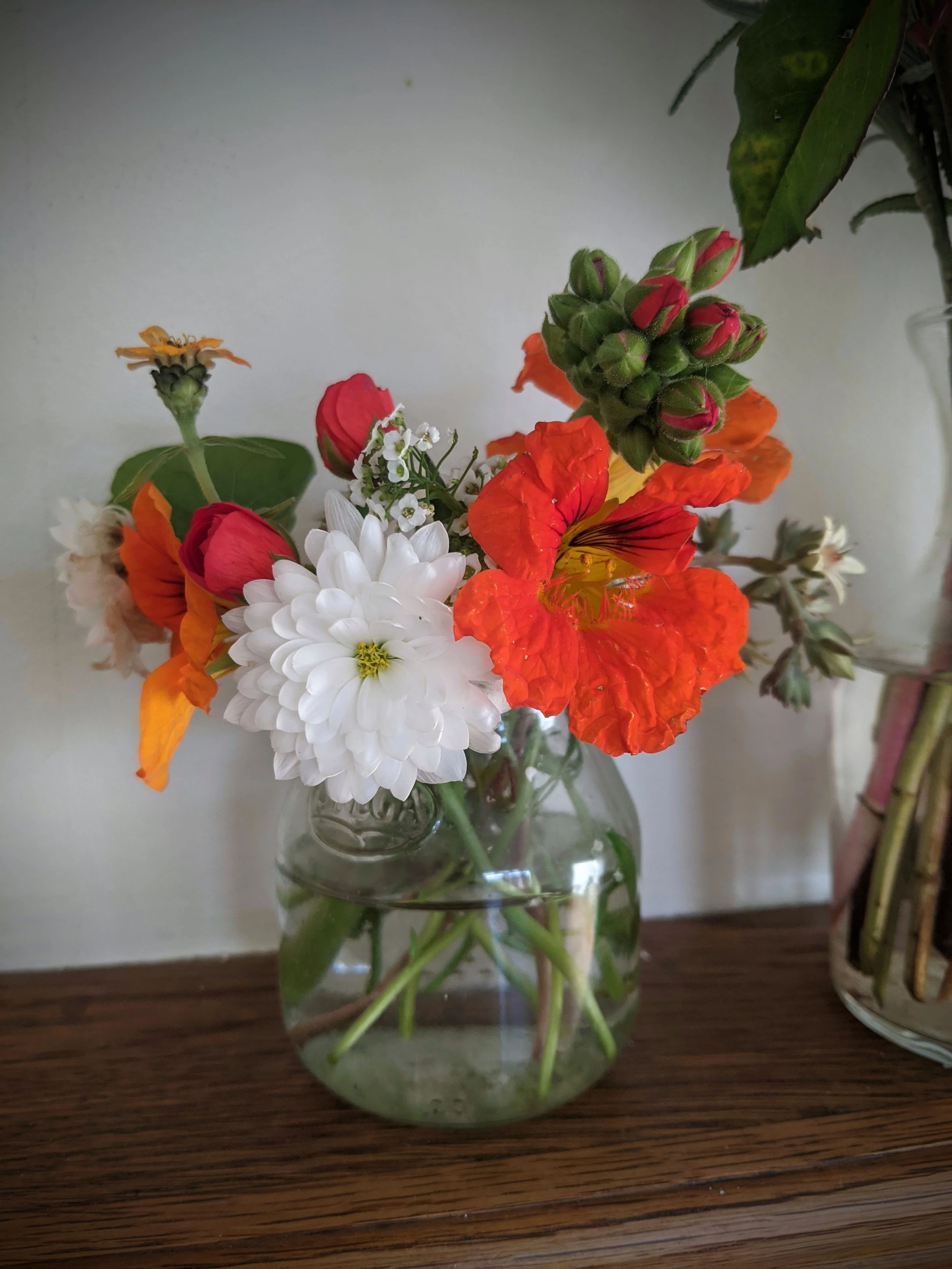 IMG_20201231_154330.jpg