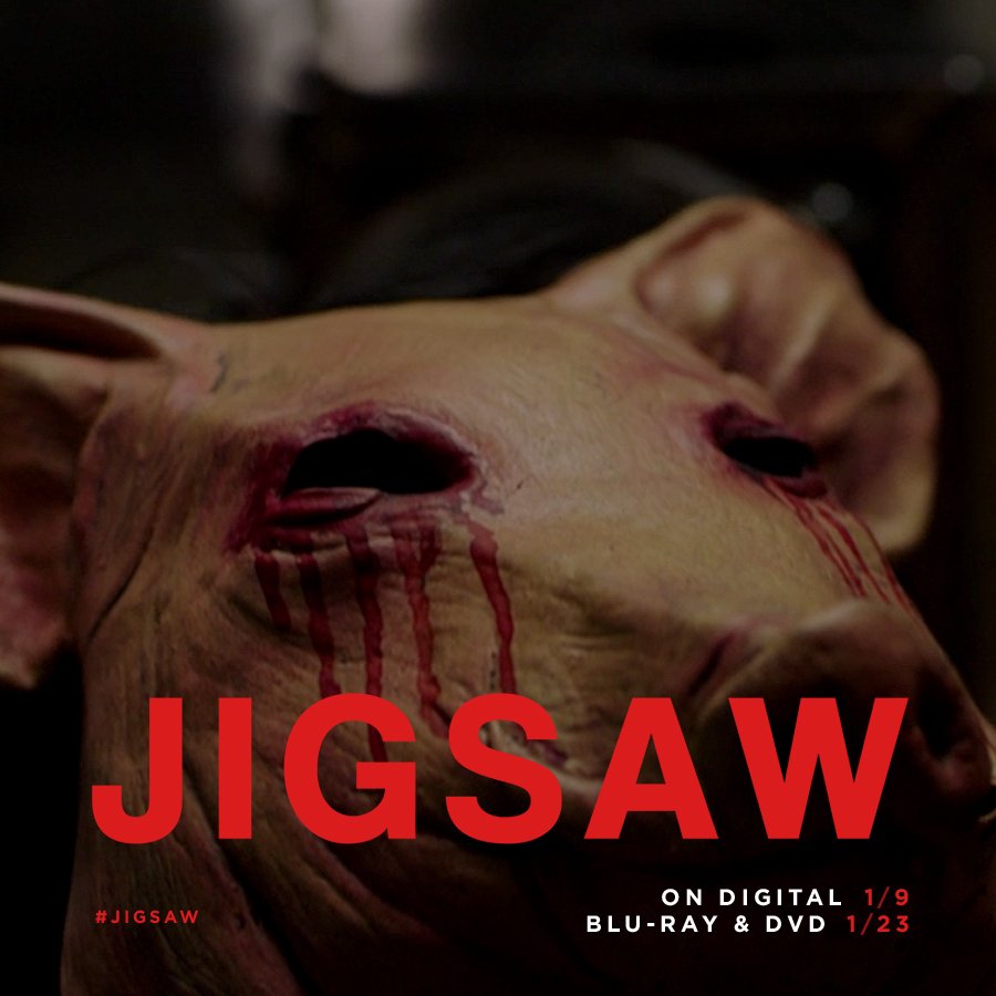 p7-jigsaw_02g.jpg