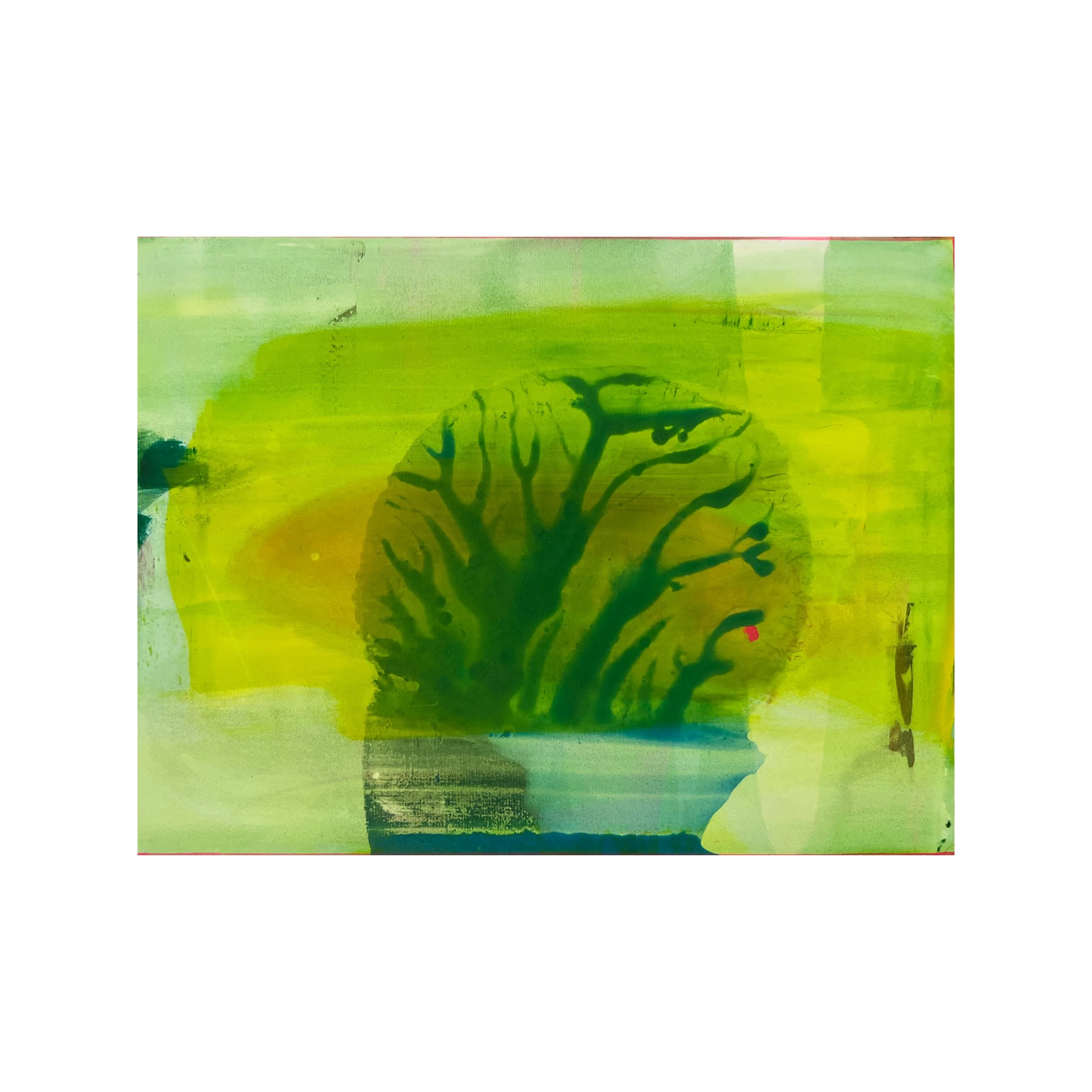 Glasshouse Afternoon