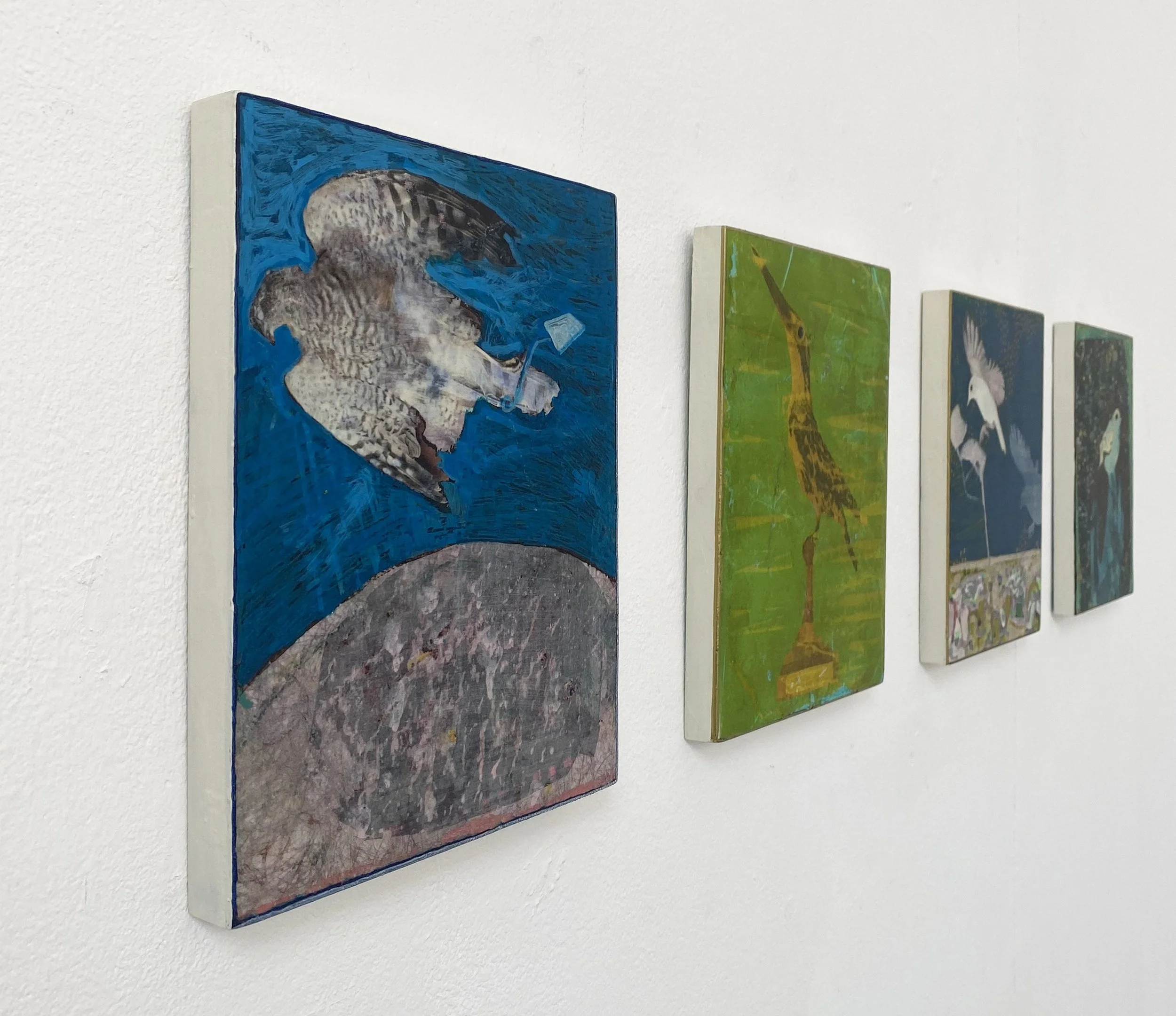 A Meditation on Birds