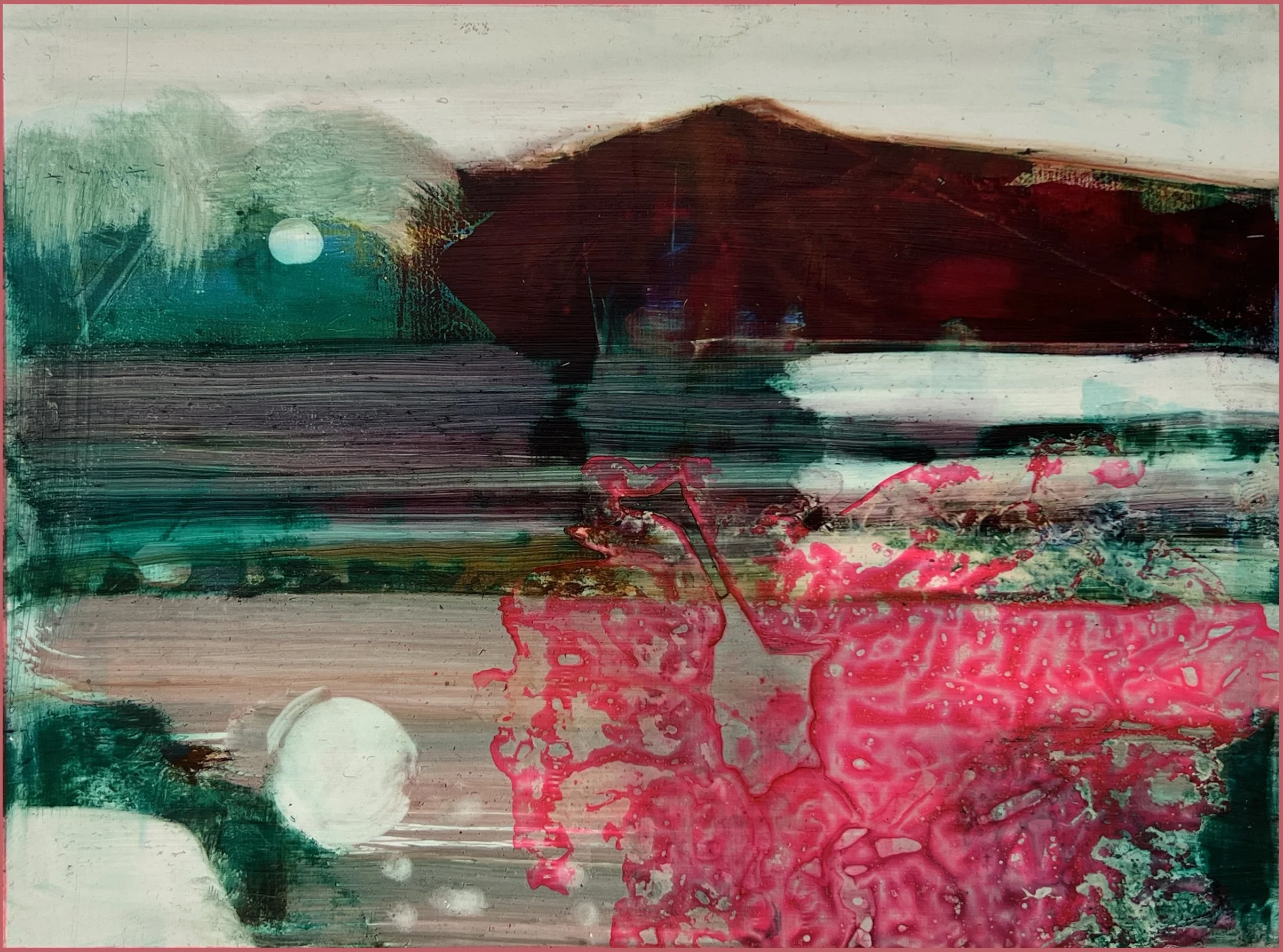 Connemara Camellia full.JPG