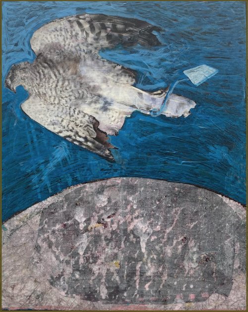 Frances Ryan Artist