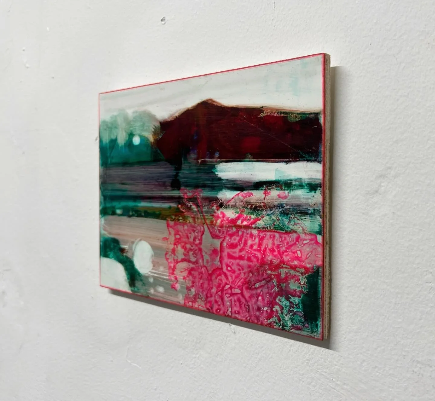 Connemara Camellia side.JPG