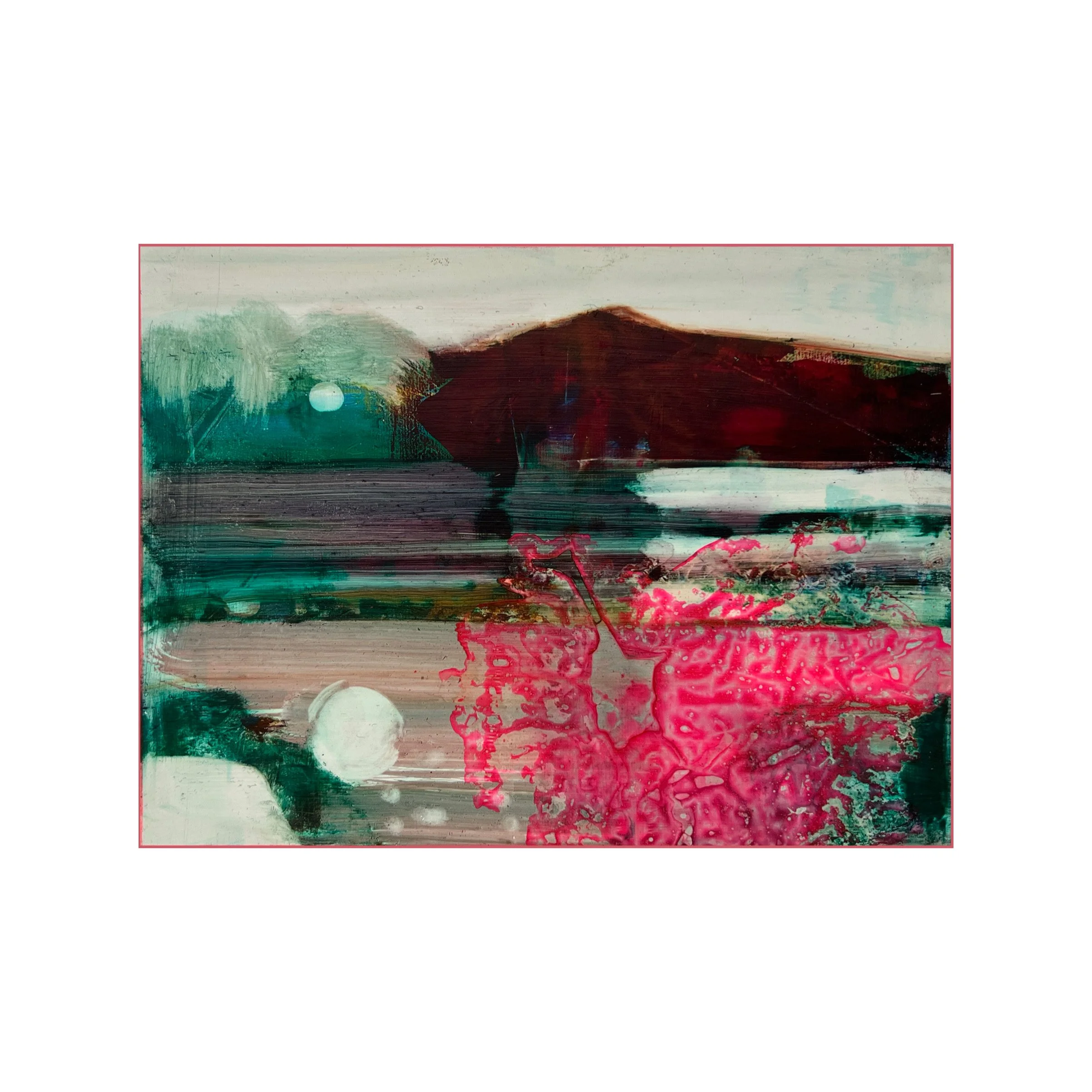 whit connemara camellia.JPG