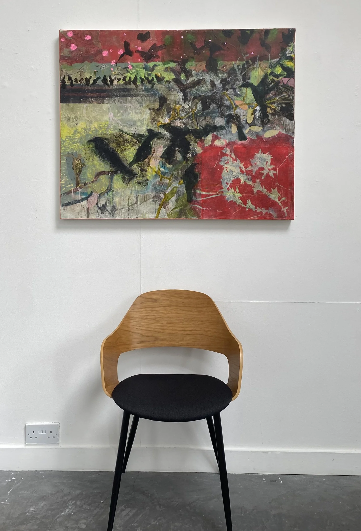 Frances Ryan Artist