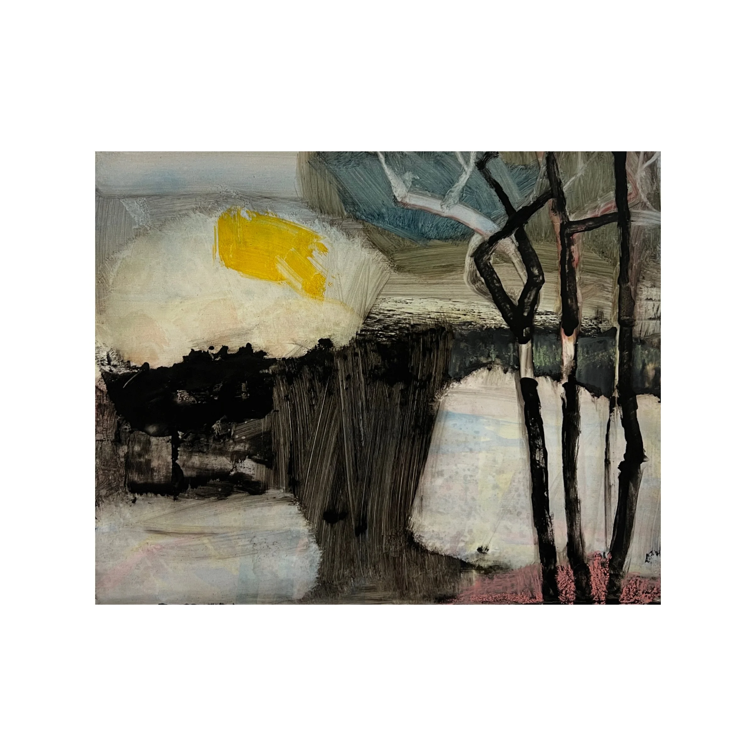 whit silver birch.JPG