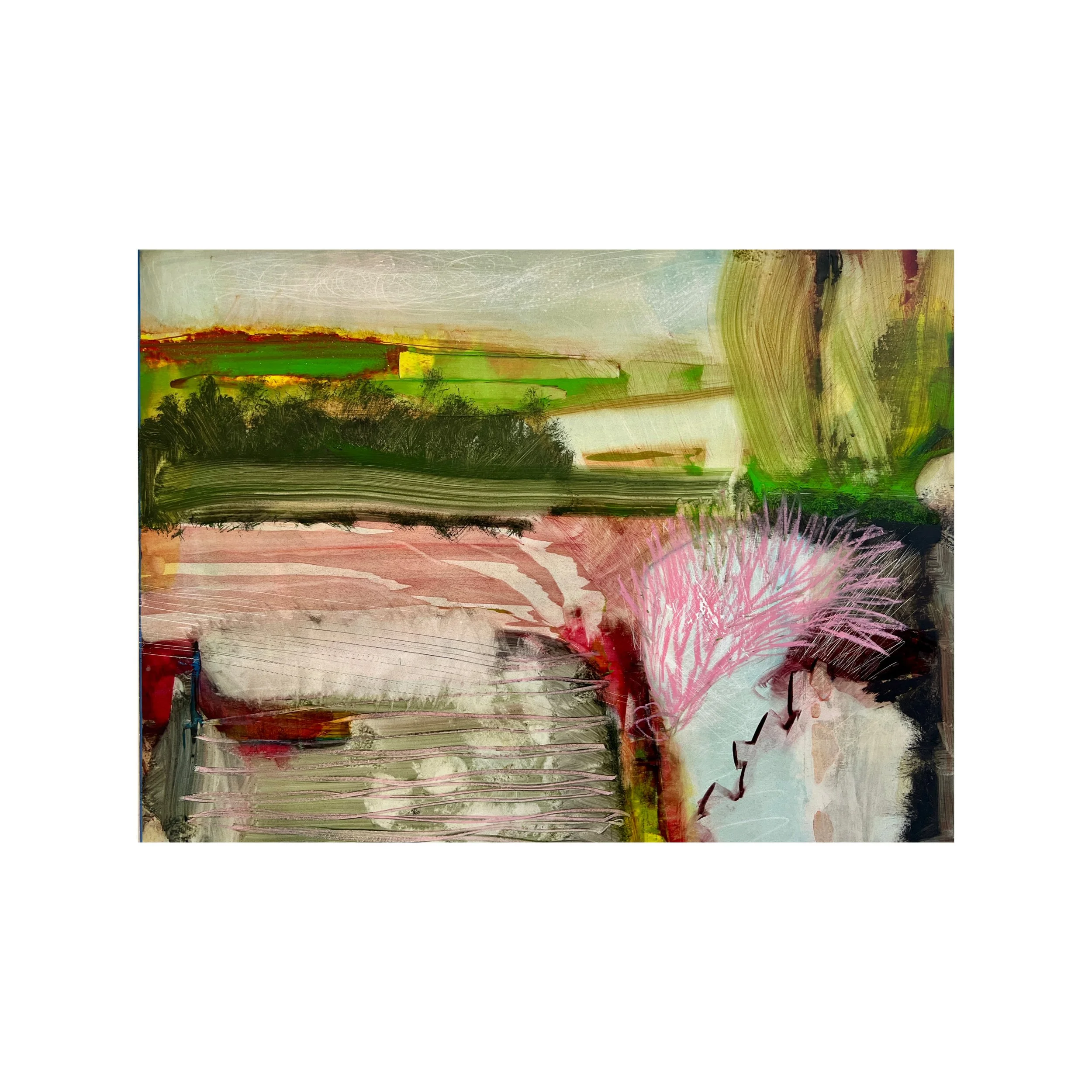 Whitagram-Image 55.JPG