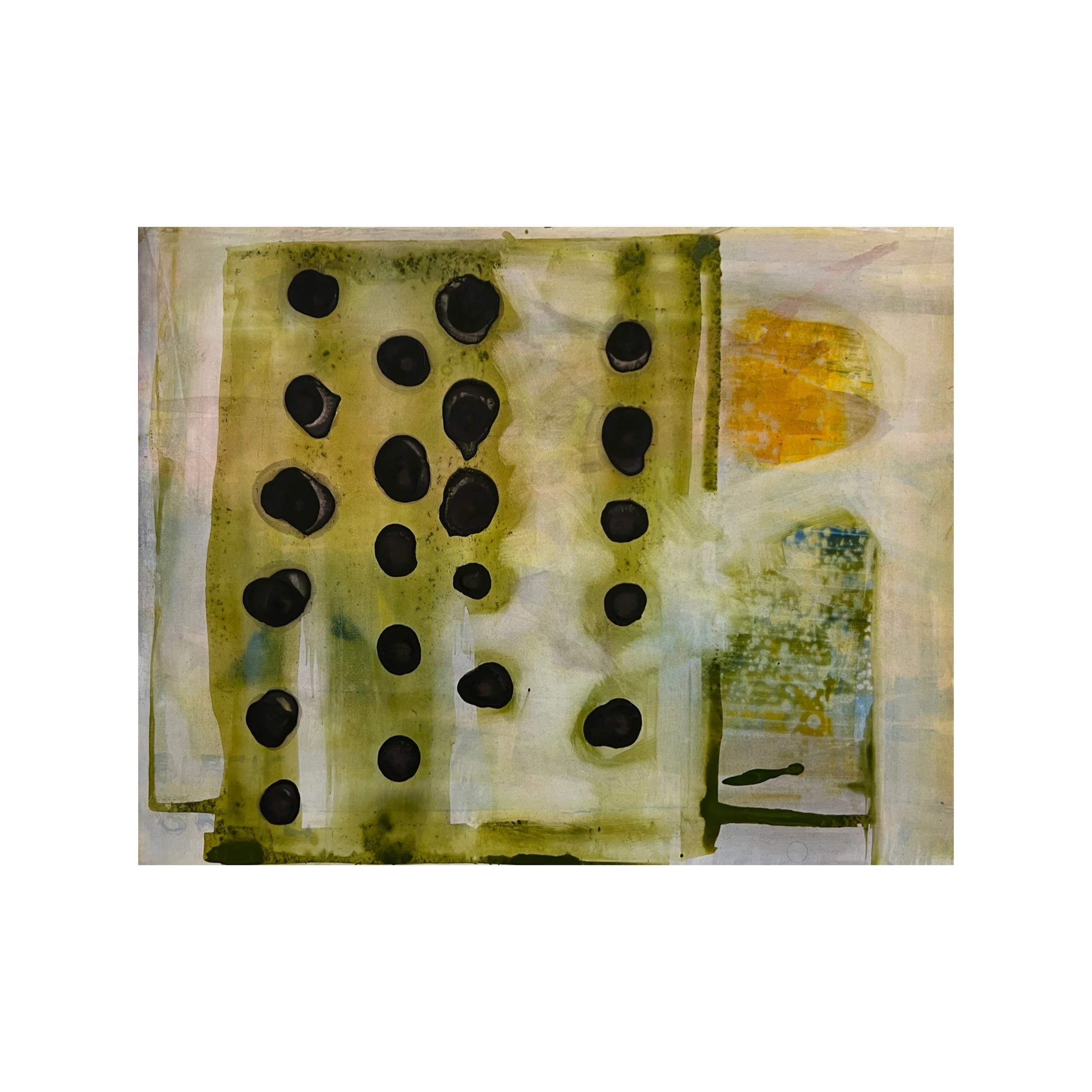 Whitagram-Image undergrowth .JPG