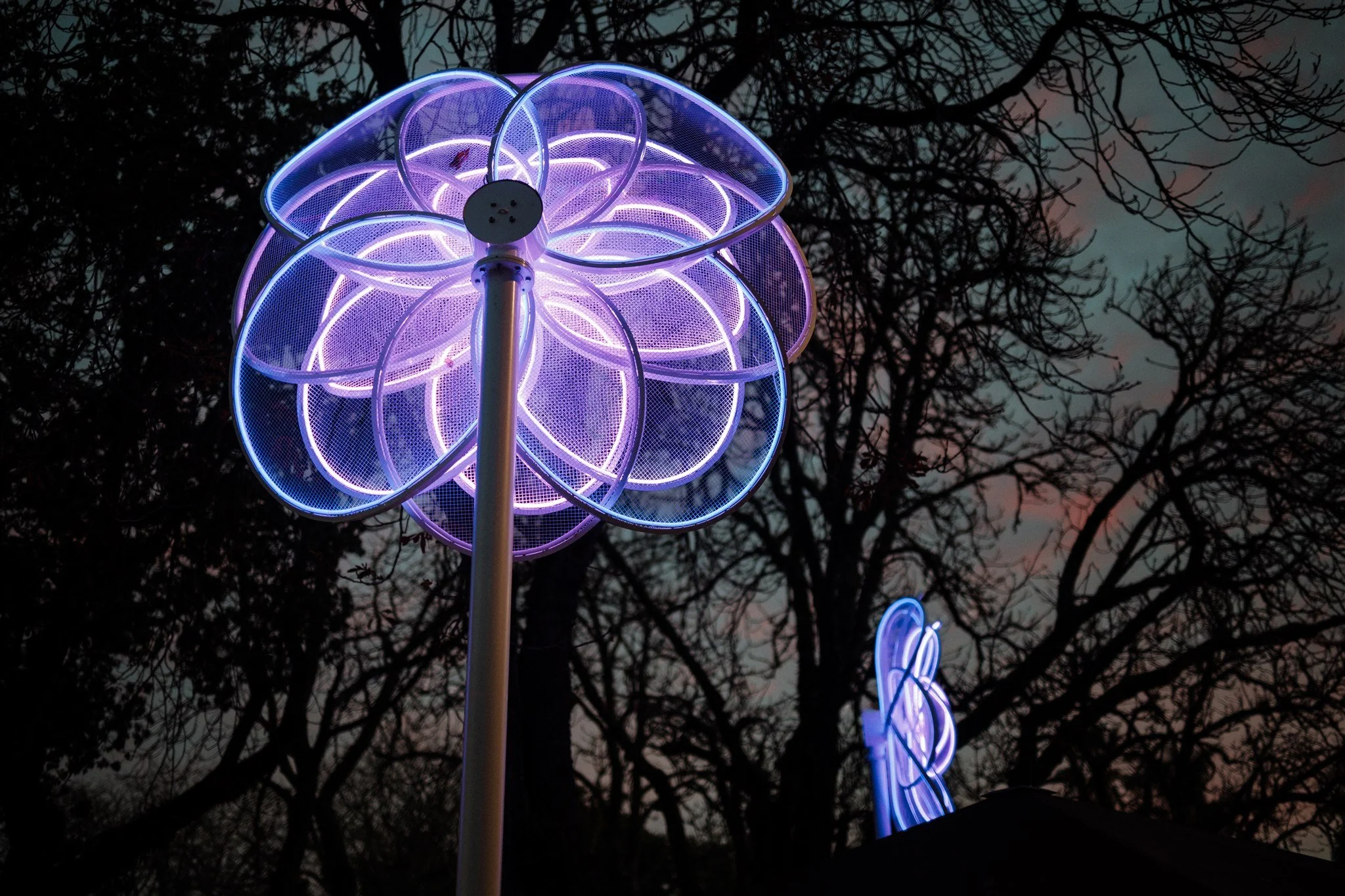 Giant Flower - Back - Light Art