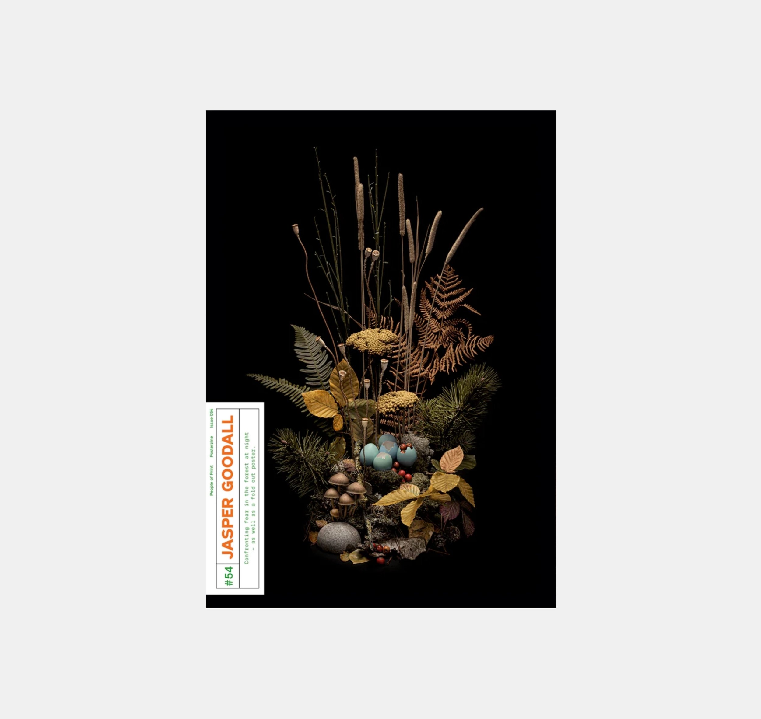 Posterzine: Jasper Goodall