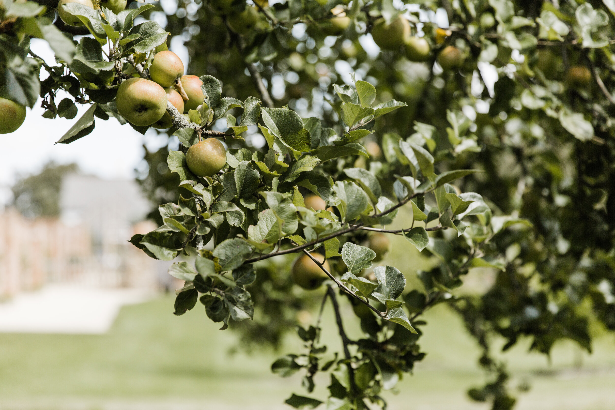 Deer Park Country House — Cider and Pizza Supper